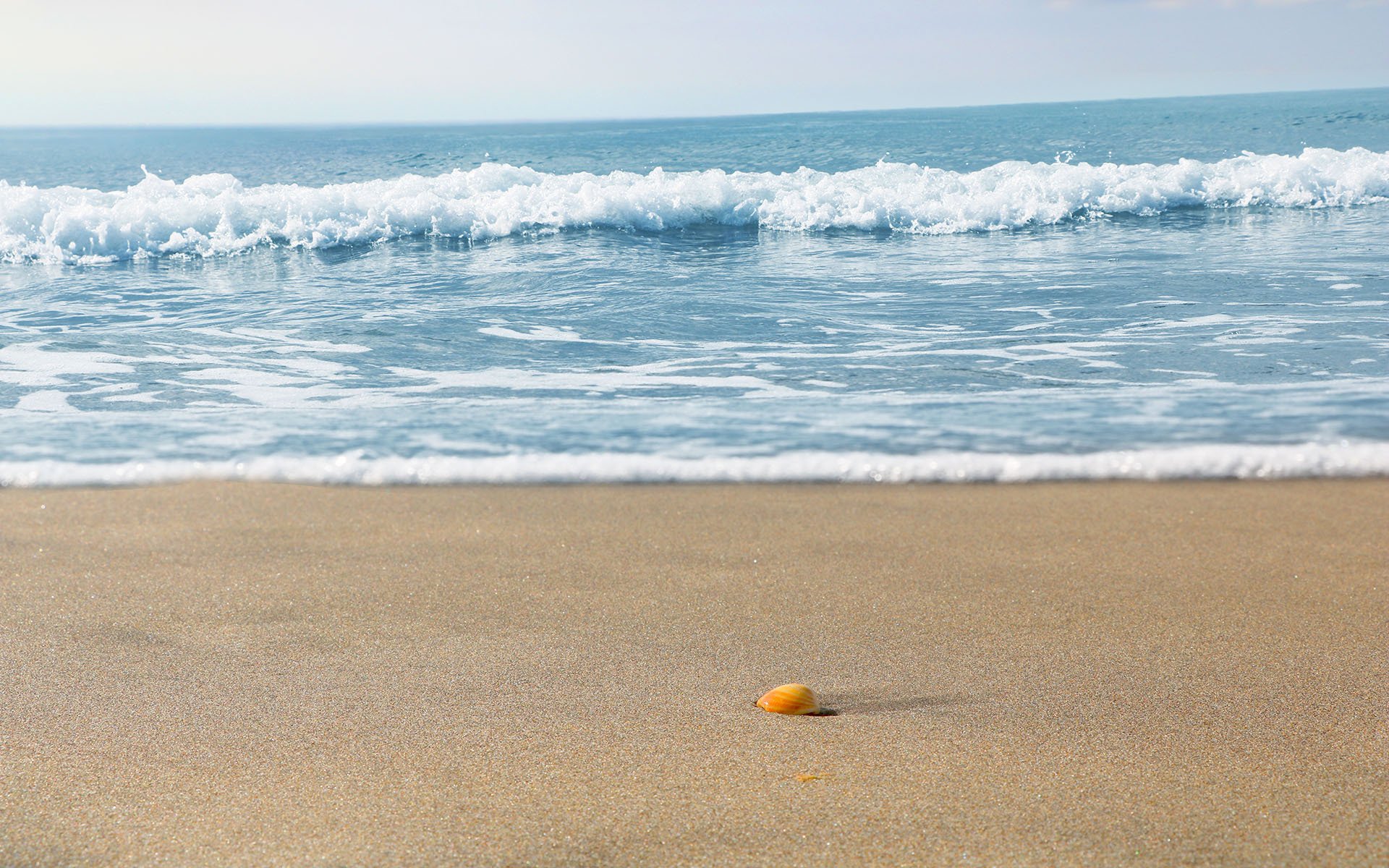海洋天堂 布拉瓦 海洋 美景 礁石