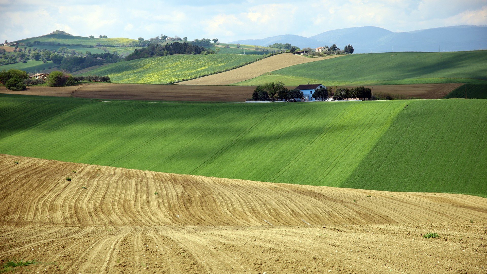 自然风光 草原 平原 广阔