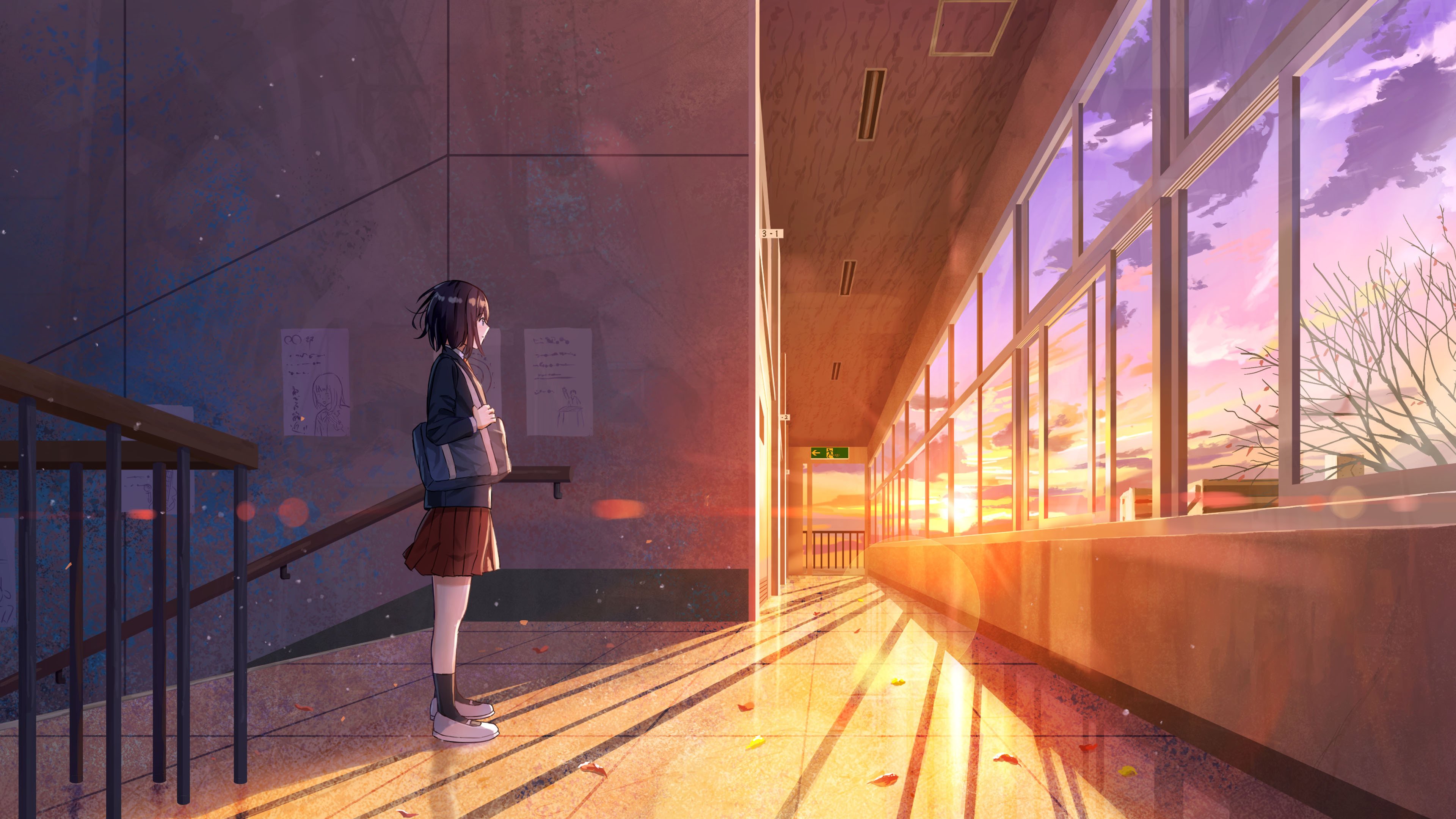 夕阳 教室走廊 橱窗 学姐 放学后