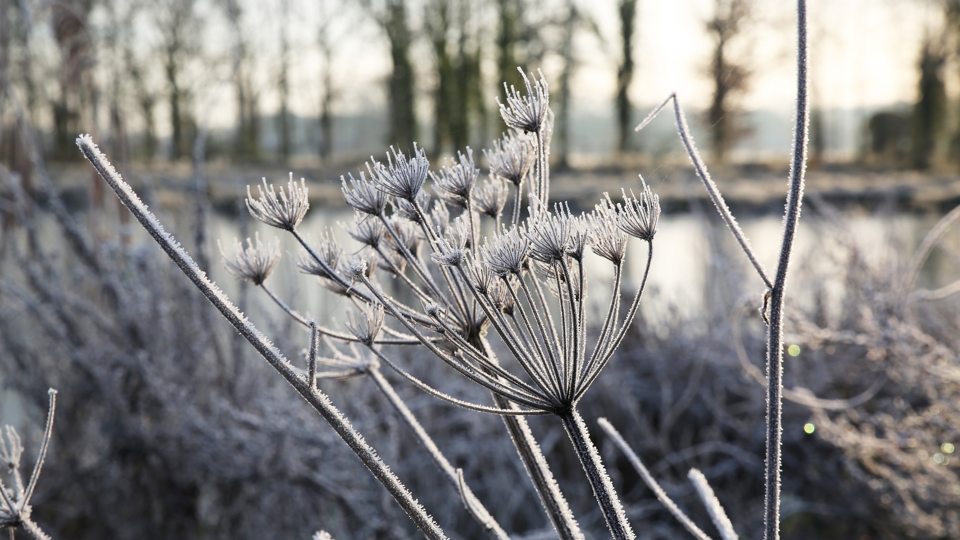 冰天雪地 银装素裹 特写