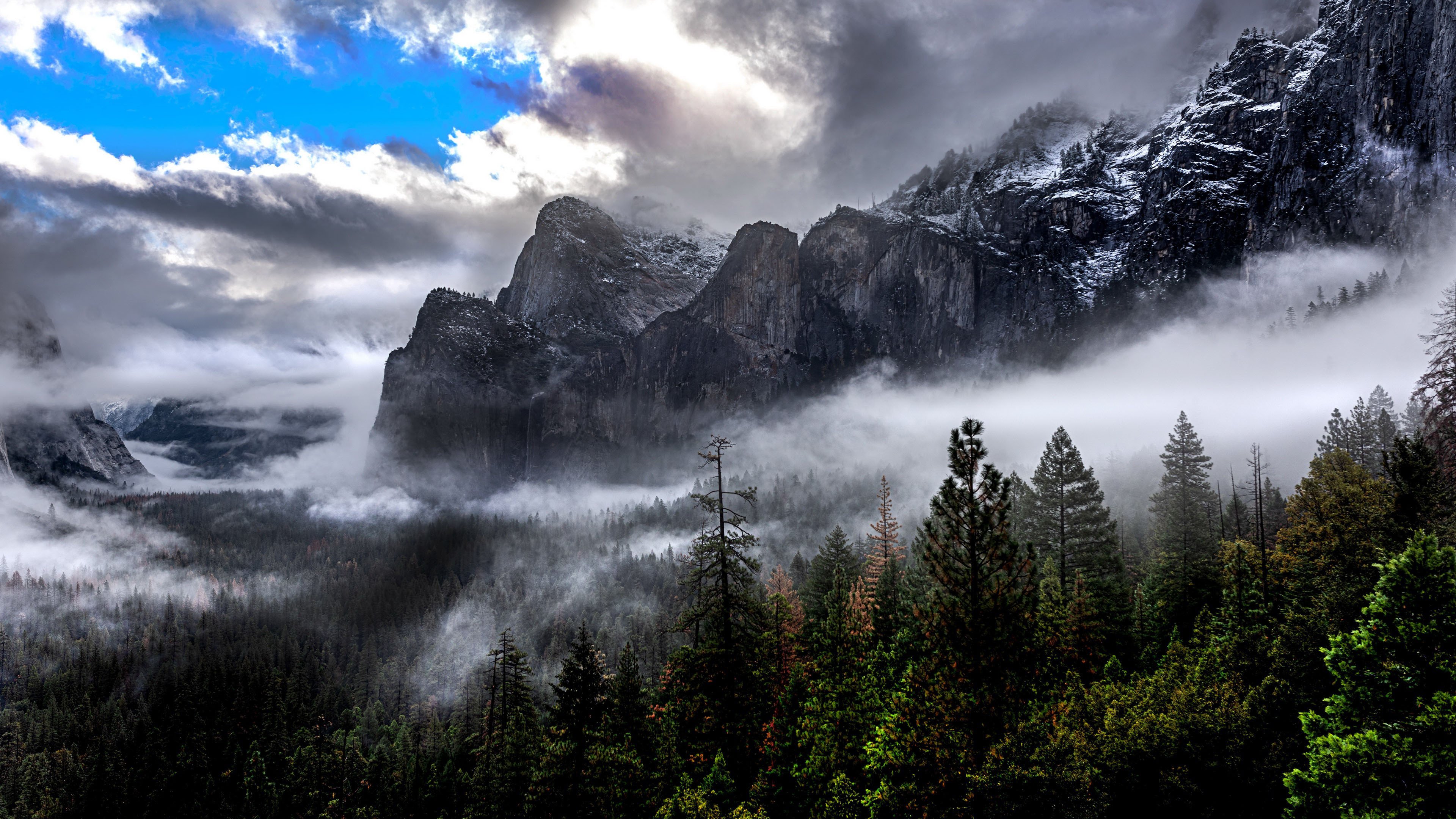 自然风光 雪山 树林 雾