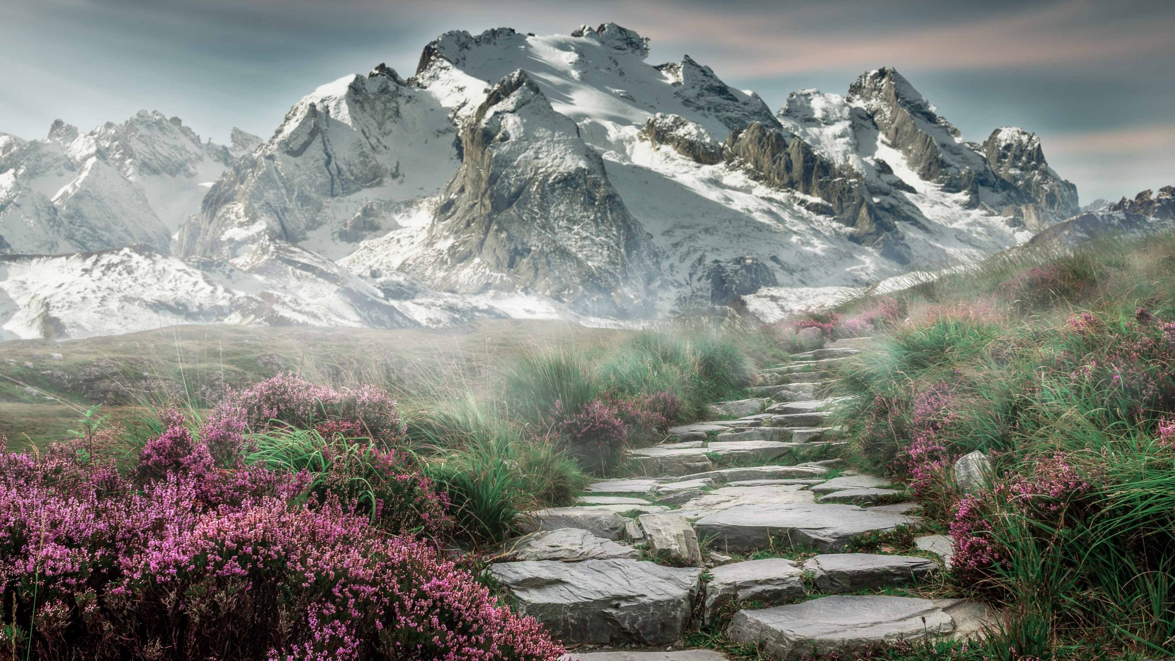 道路 花丛 雪山 雾 石板路