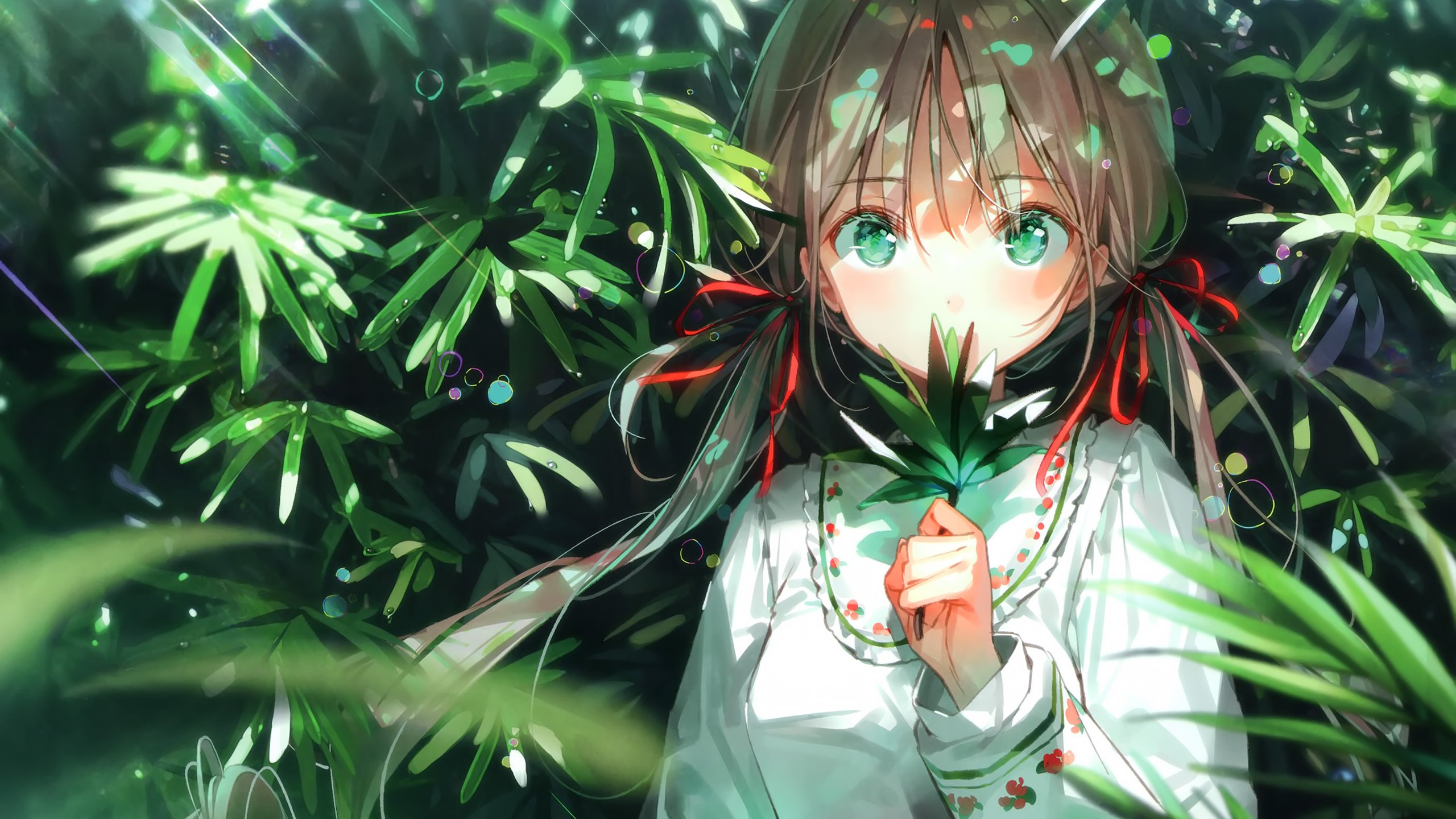 卡通人物 树林 花园 阳光