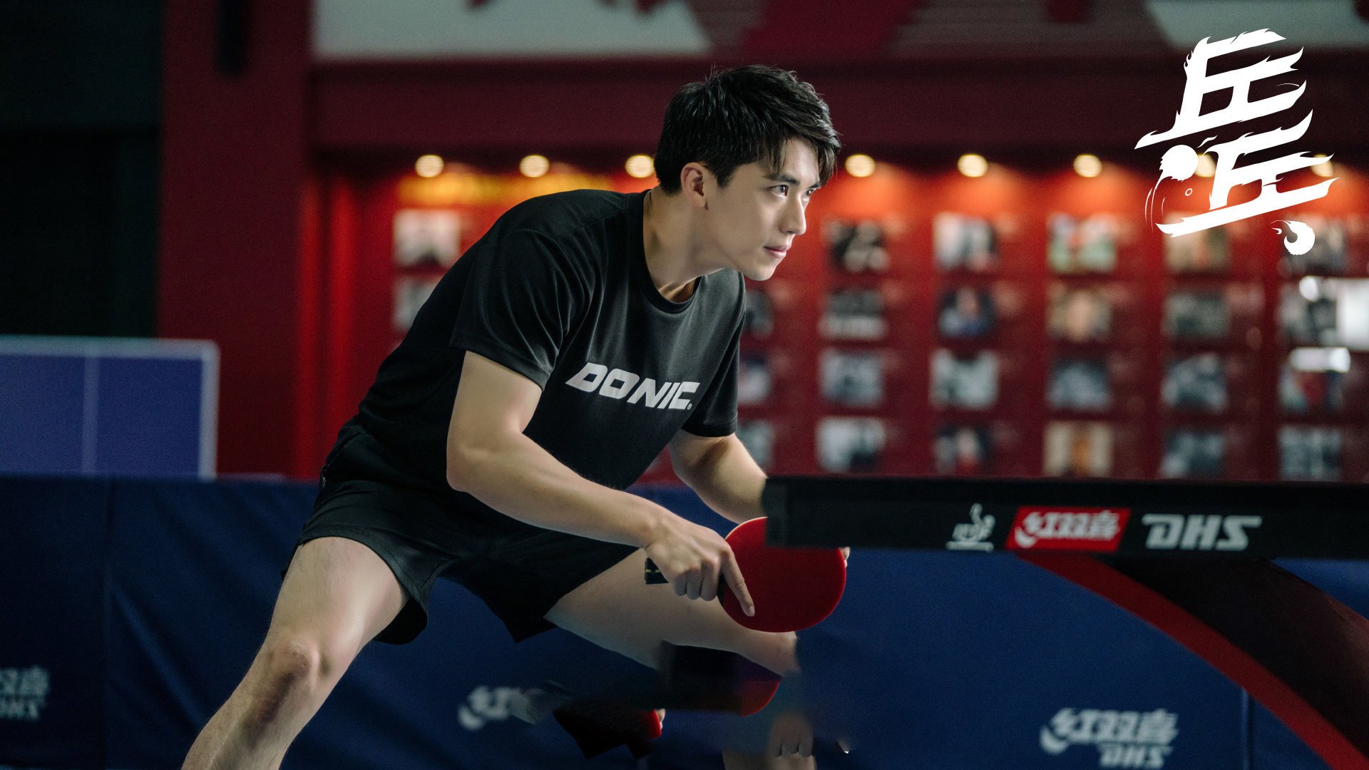 荣耀乒乓  白敬亭  许魏洲