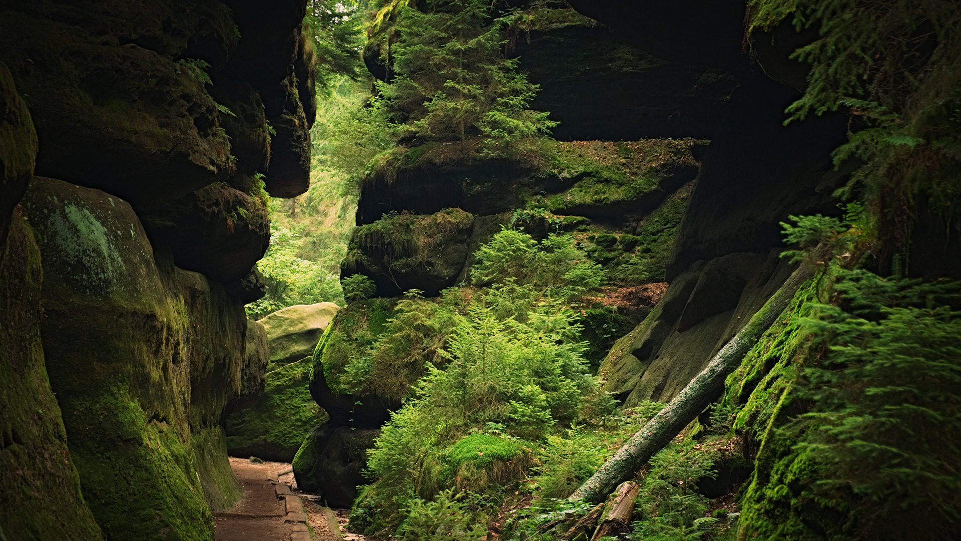 炎炎夏日 山谷 幽静 青草