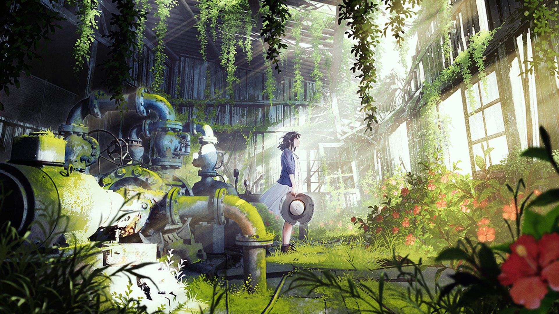 花房 阳光 草地 废墟