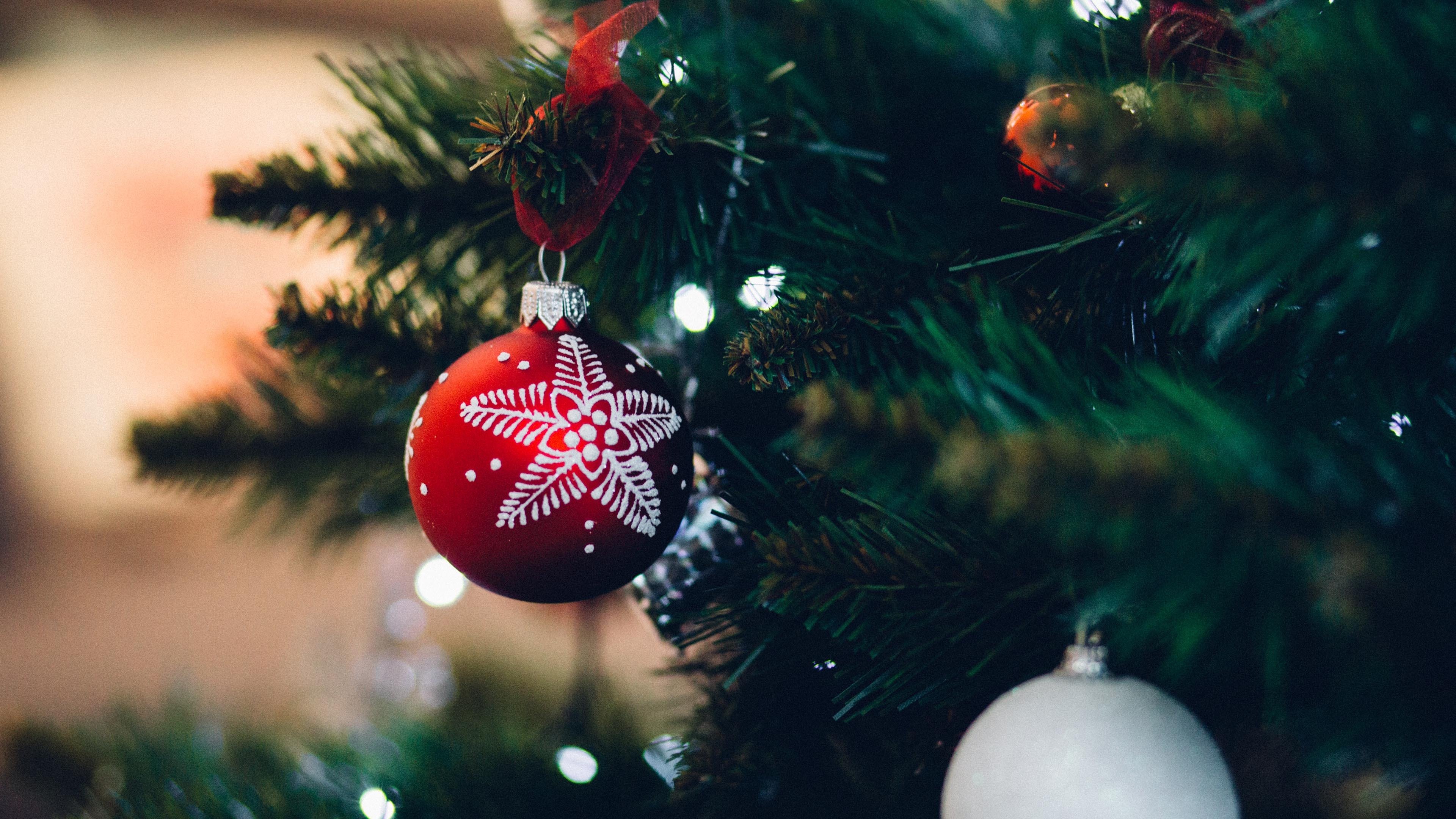 圣诞 圣诞树 礼物 庆祝