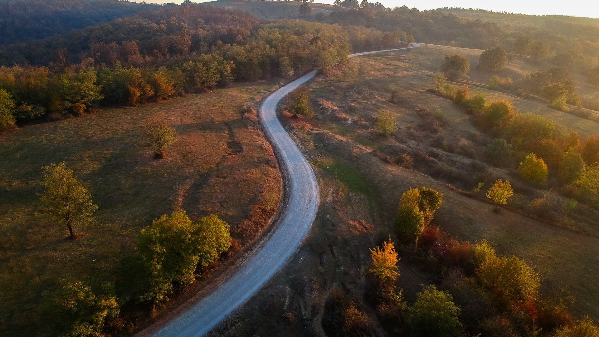 秋意正浓 树林 蜿蜒 公路
