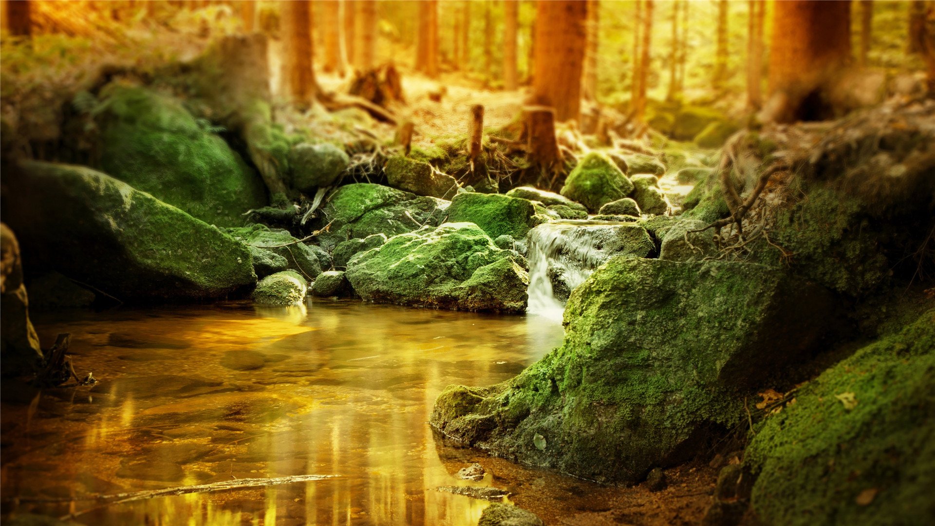 奇幻梦境 小溪 河流 晚霞 青苔