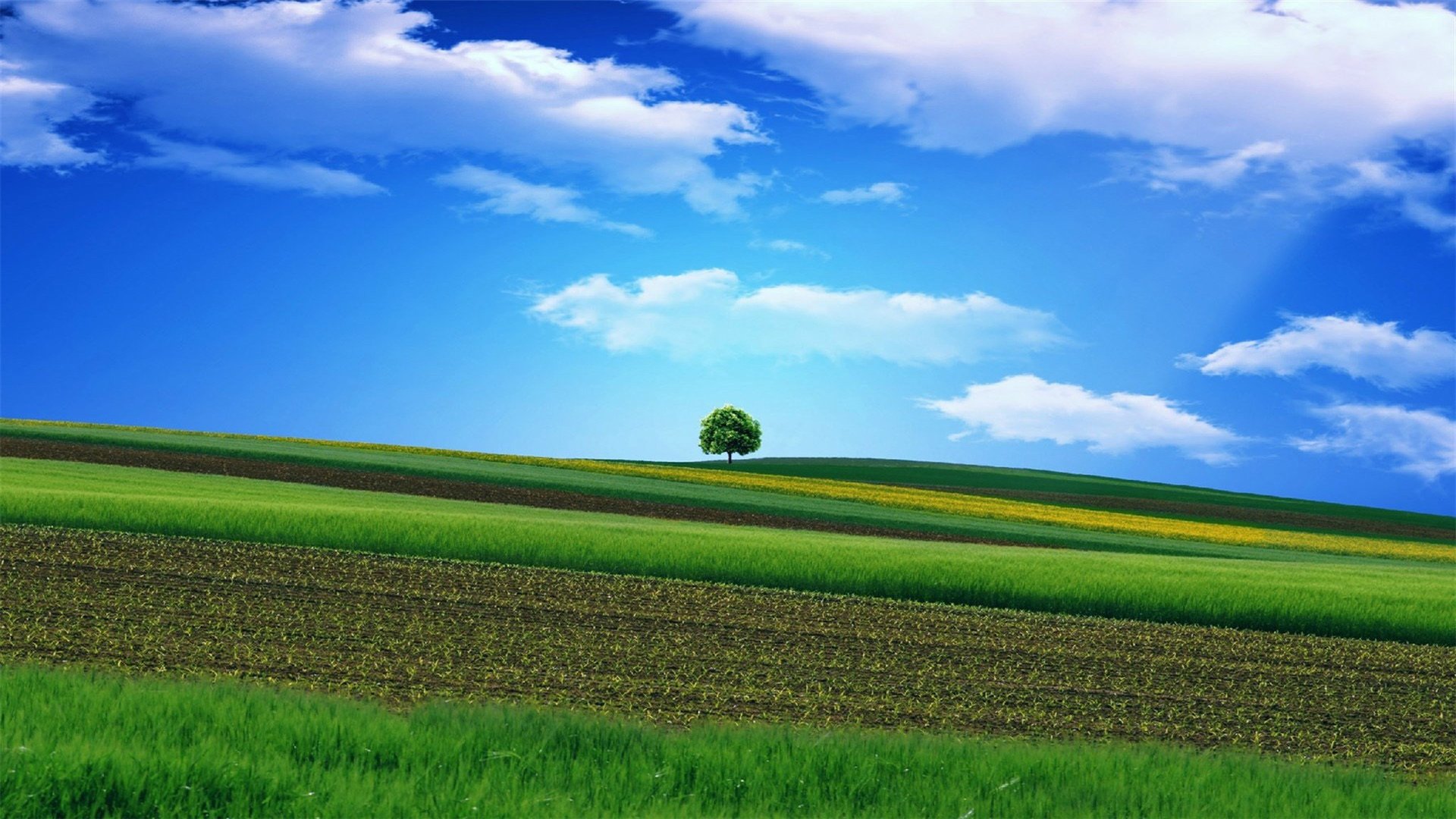 蓝天白云 草原 草地 云朵