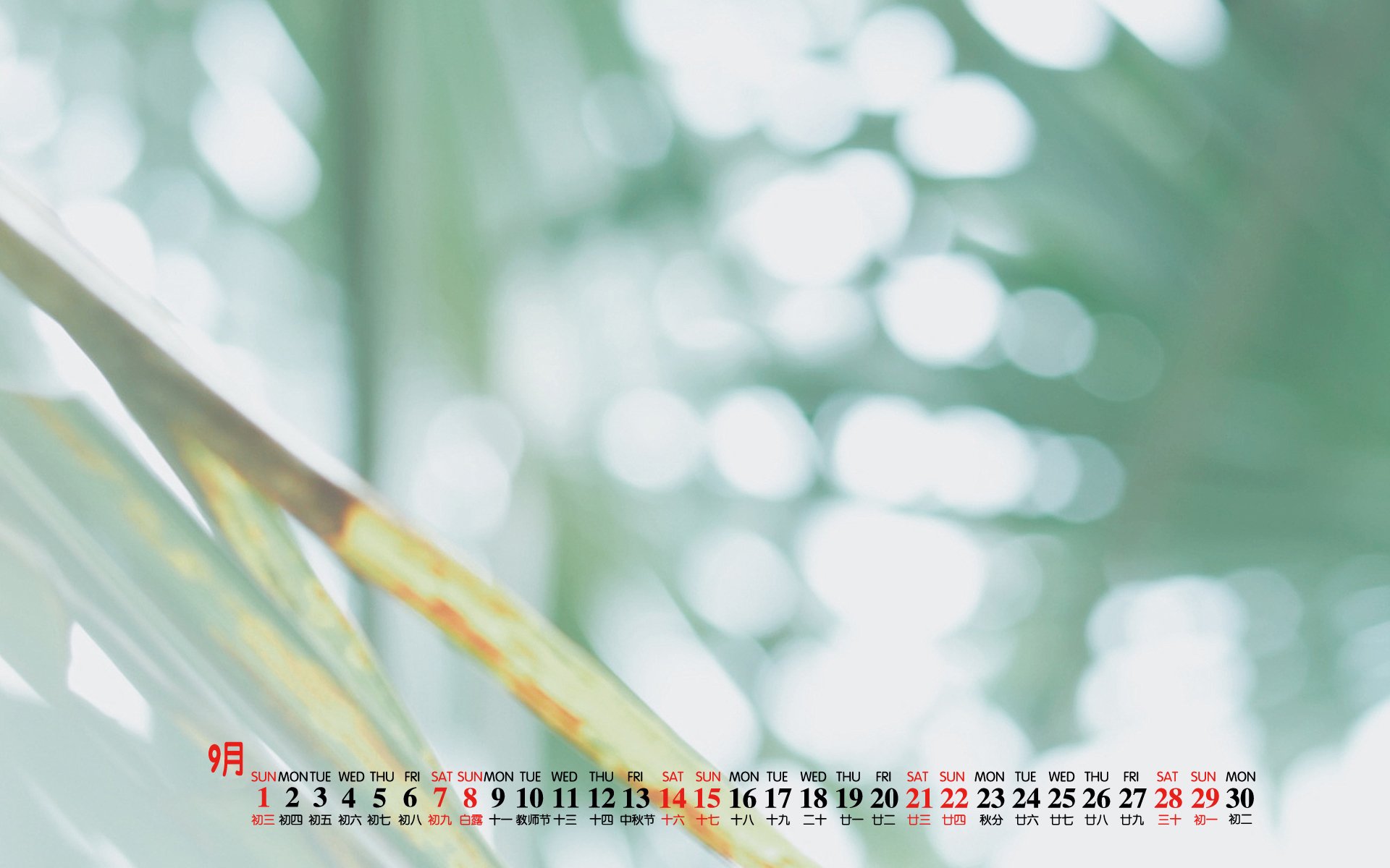 月历壁纸 九月 2019年9月 日历