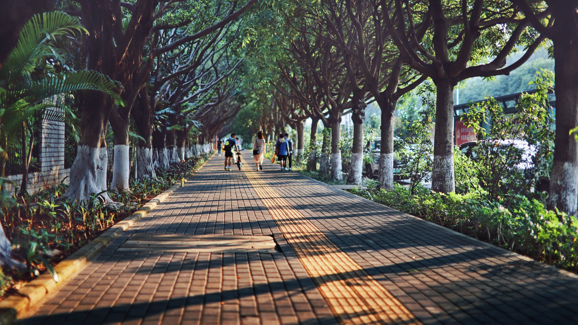 夕阳 街道 盛夏 傍晚 深圳 龙岗