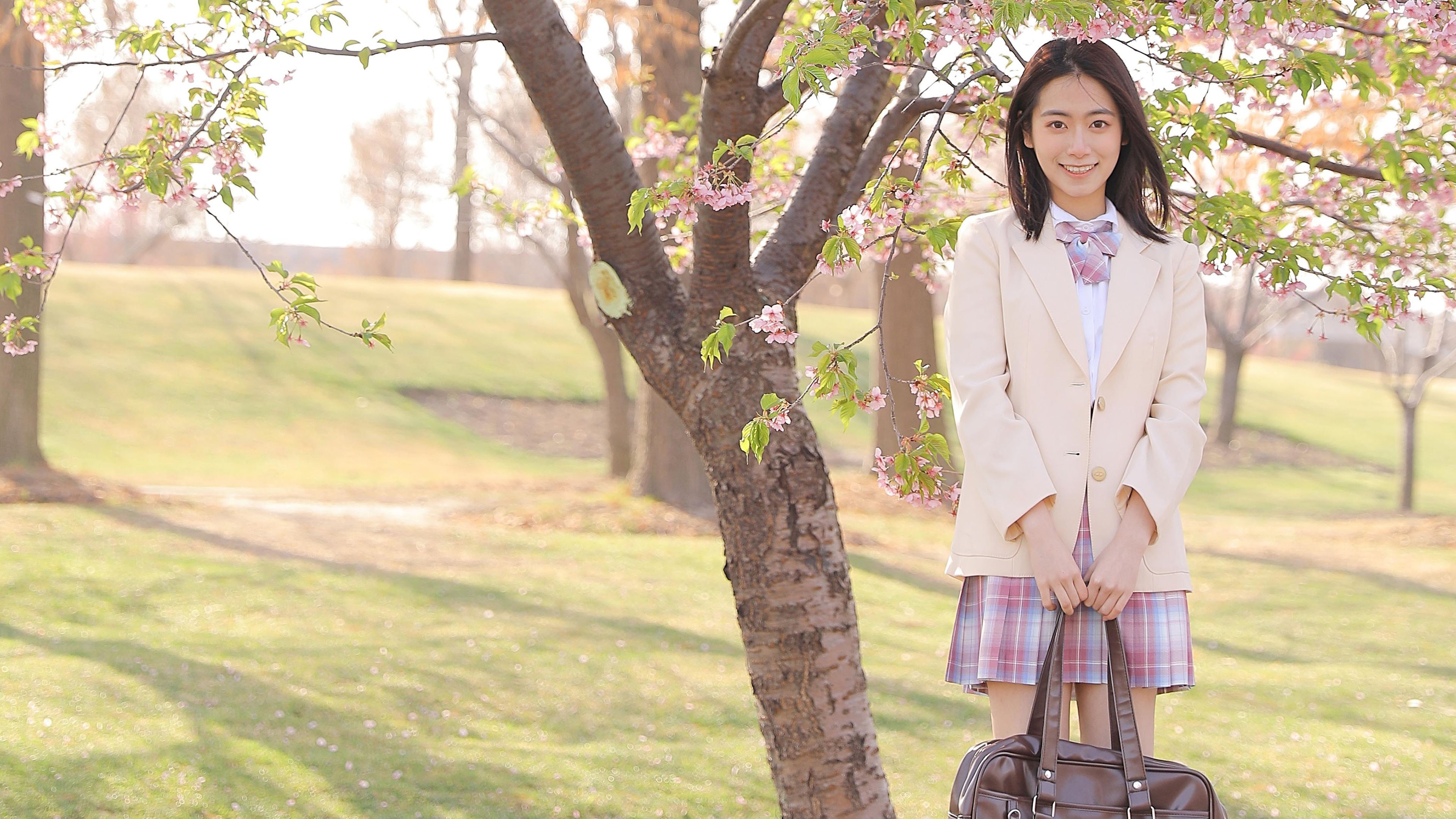 清纯 樱花 制服 校服 学姐 春天 阳光