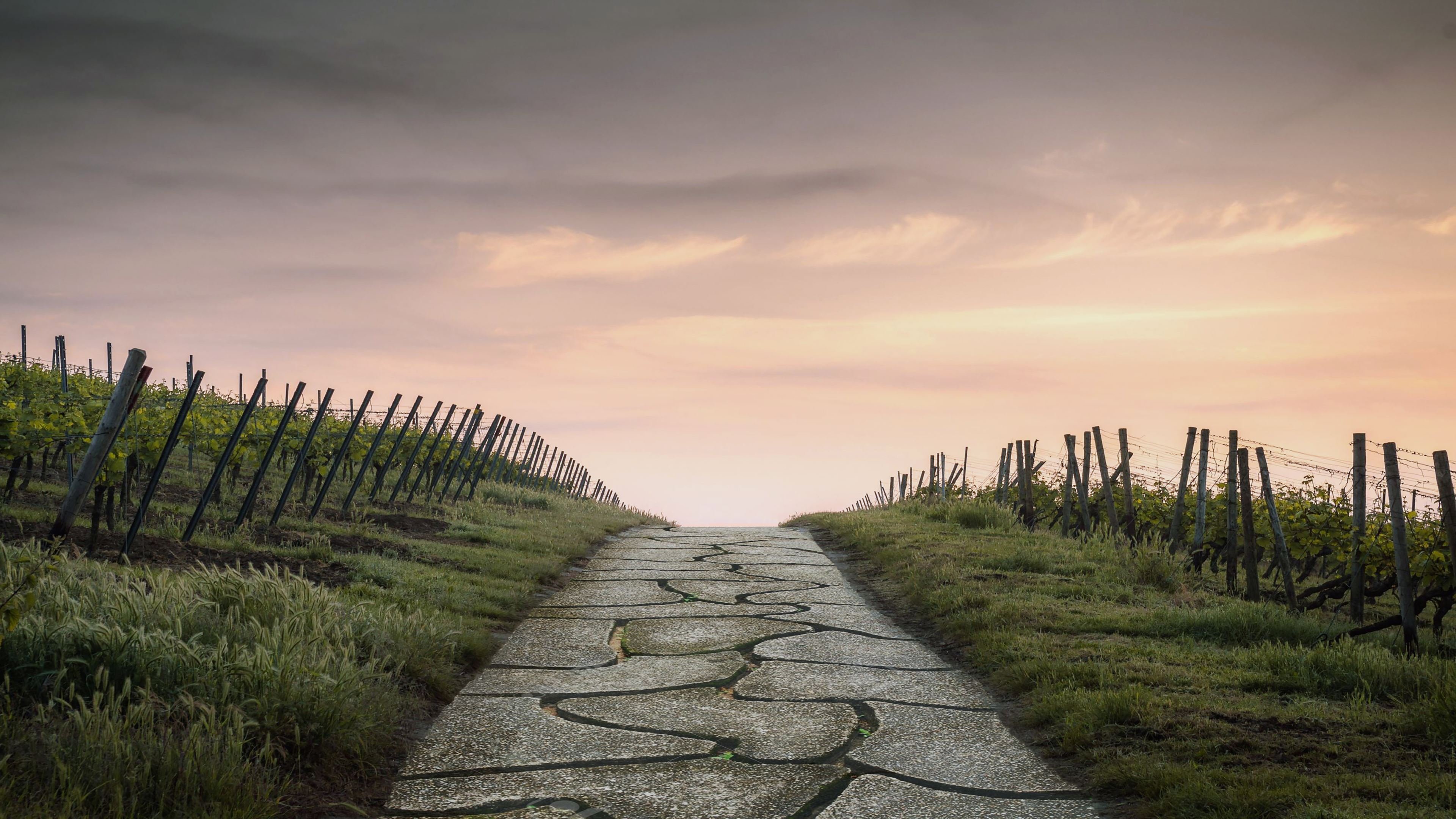 自然风光 公路 龟裂 庄园 阴天 栅栏