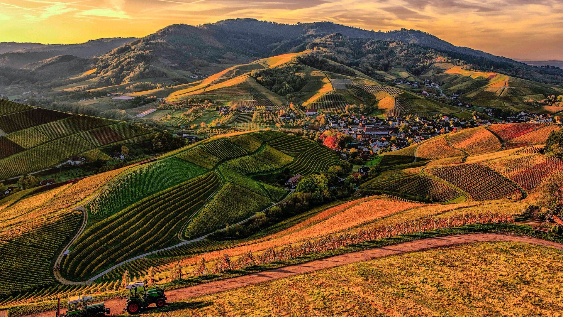 秋意正浓 黄昏 丘陵的村庄