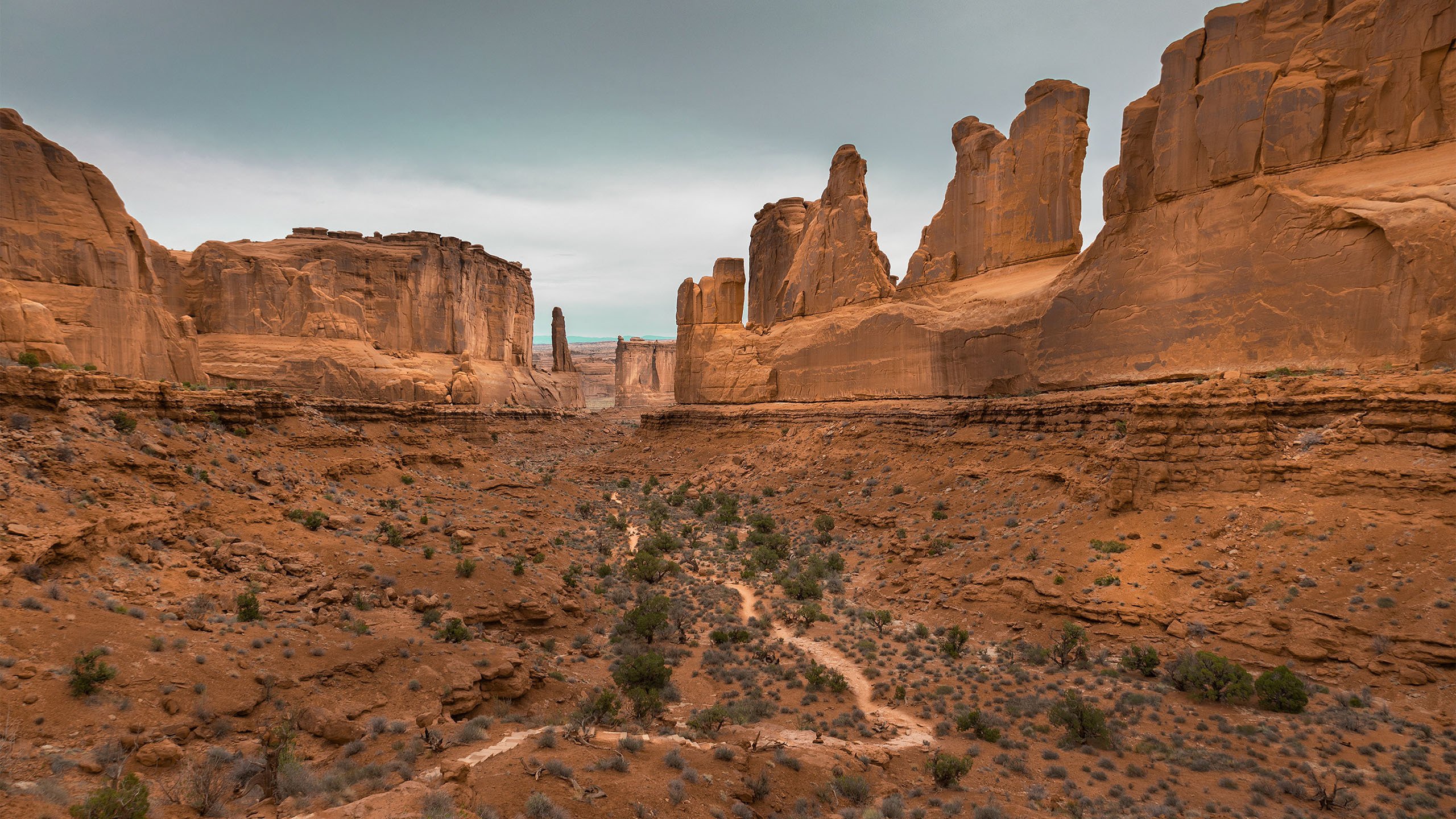 沙漠 红土 岩石 独特风光