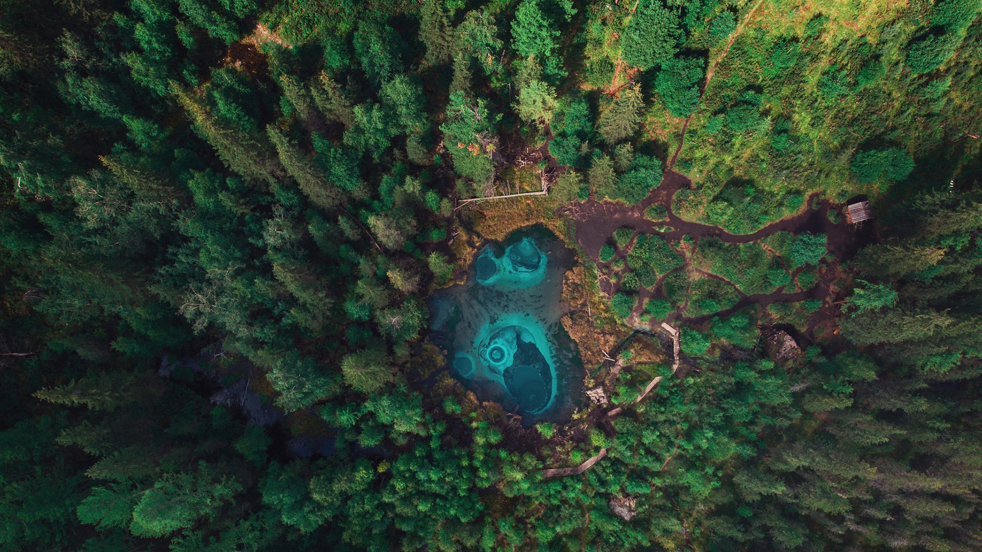 春意盎然 树林 水潭 航拍