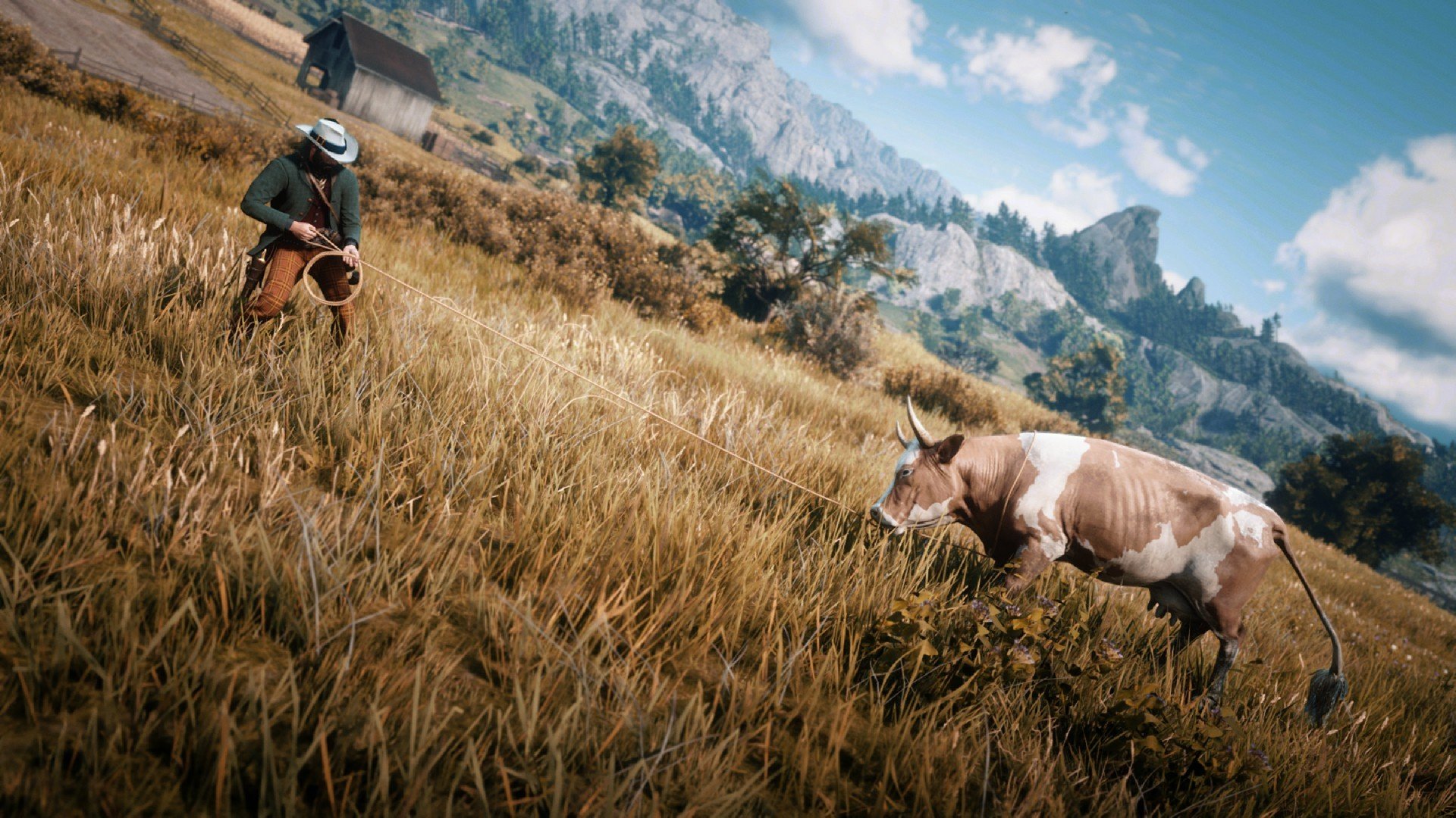 荒野大镖客大表哥