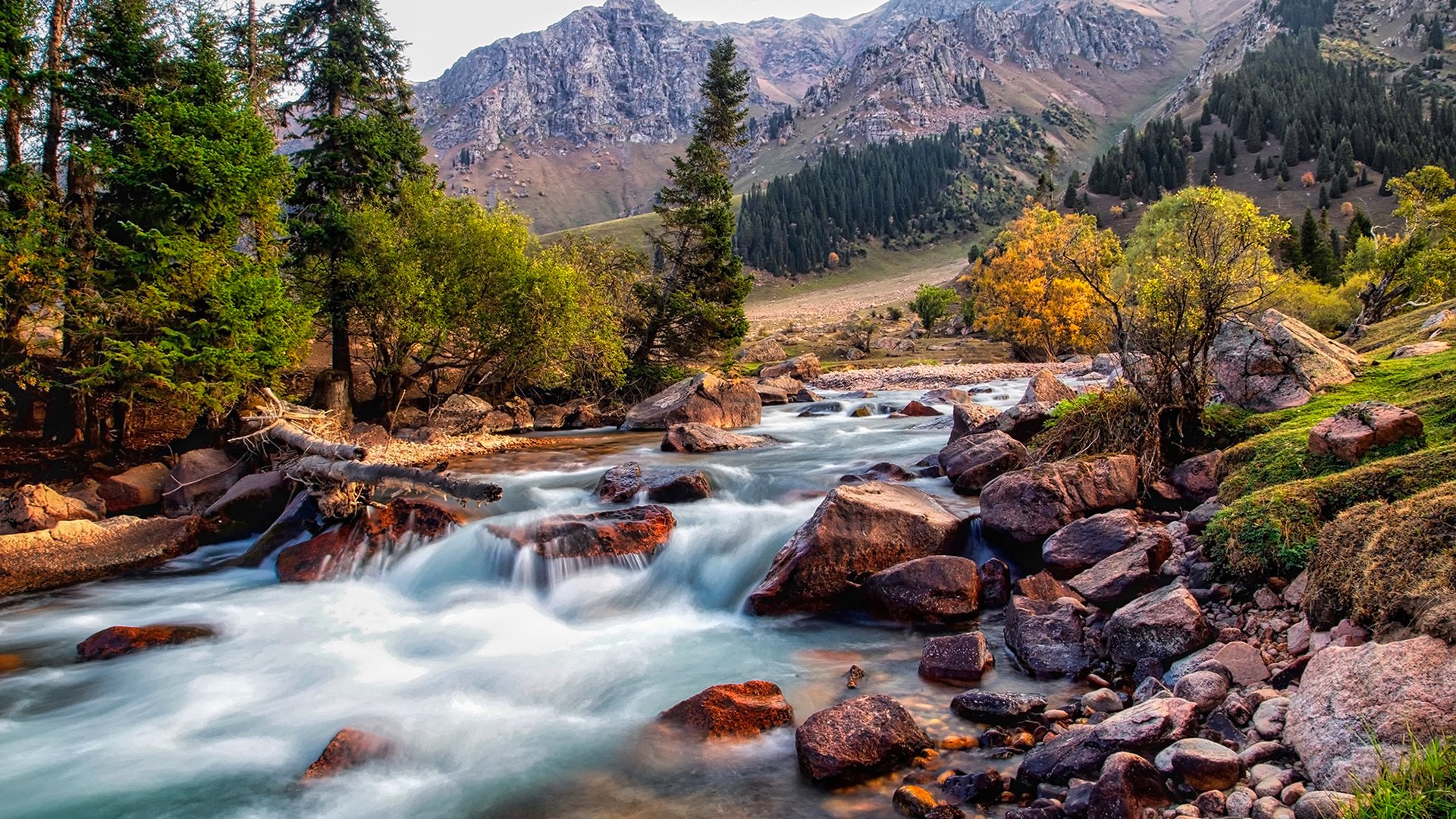 秋意正浓 小溪 河流 深秋