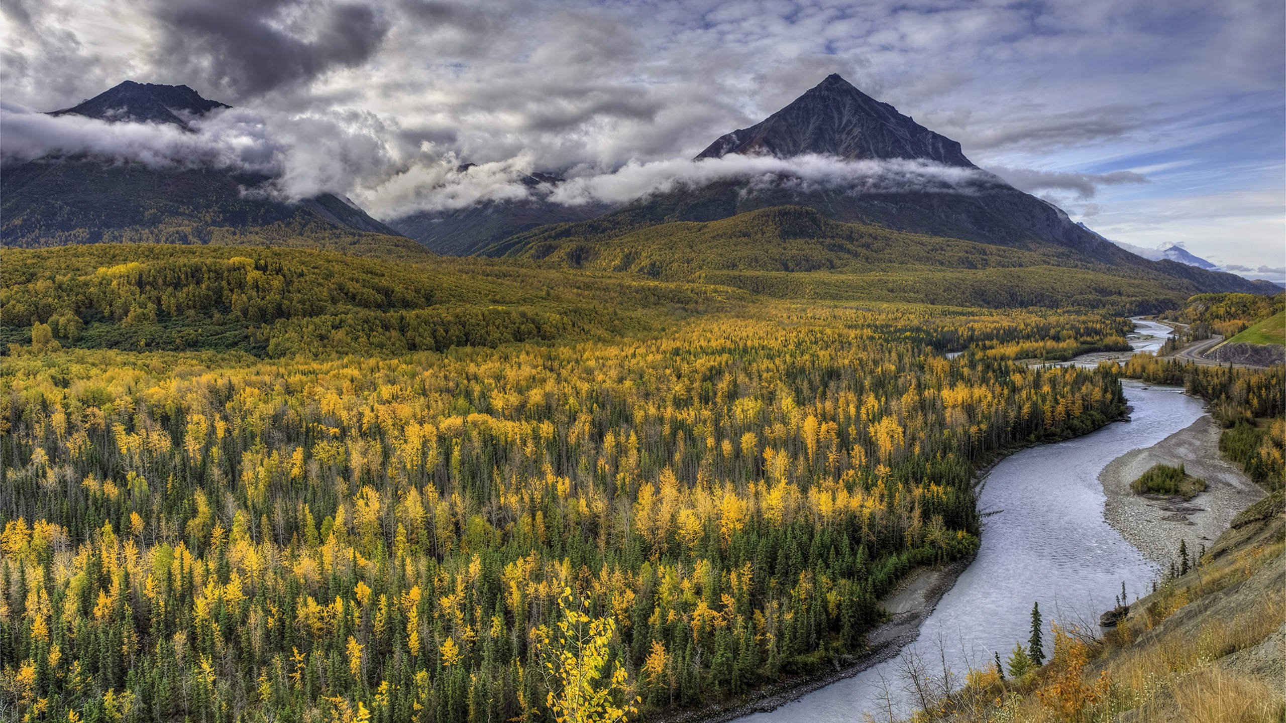 自然风光 花海 河流