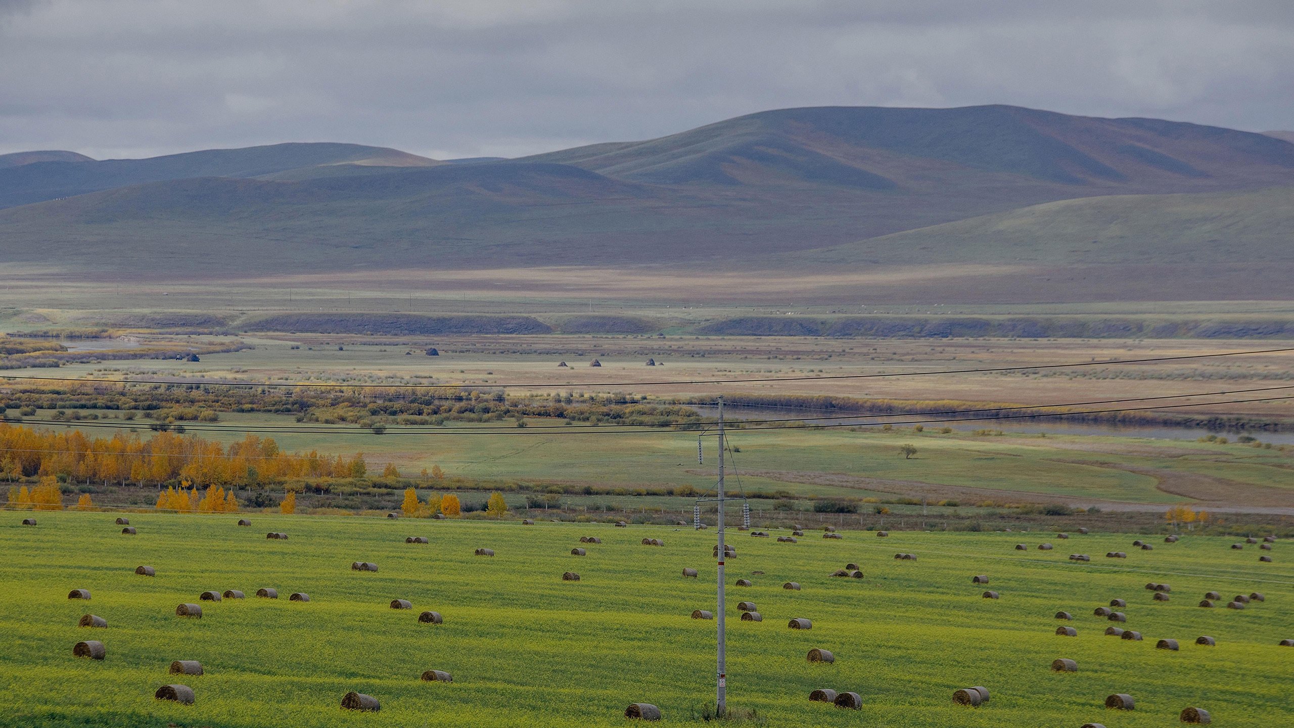 自然风光 大草原 呼伦贝尔 草堆