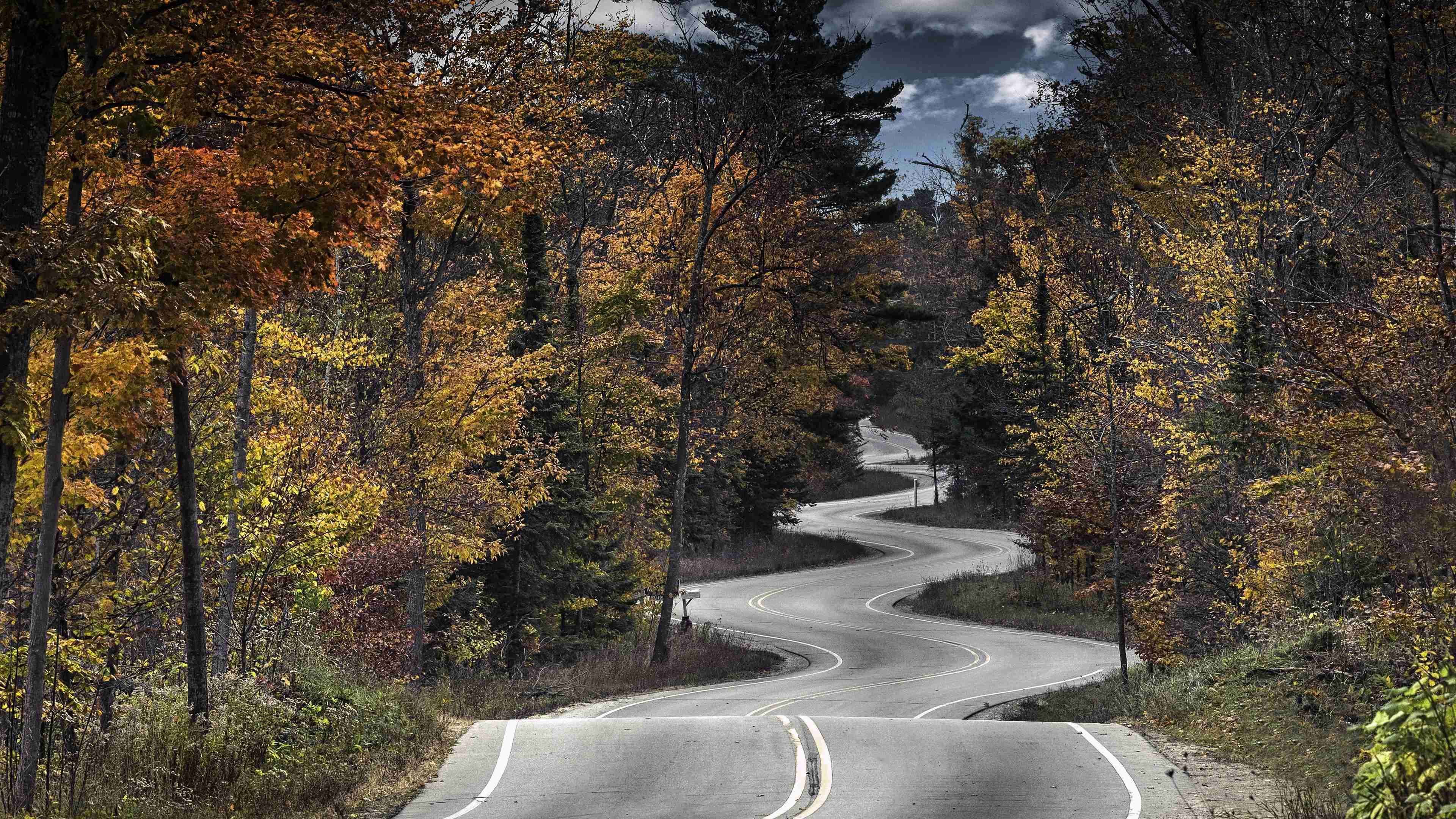 秋意正浓 蜿蜒 公路 树林