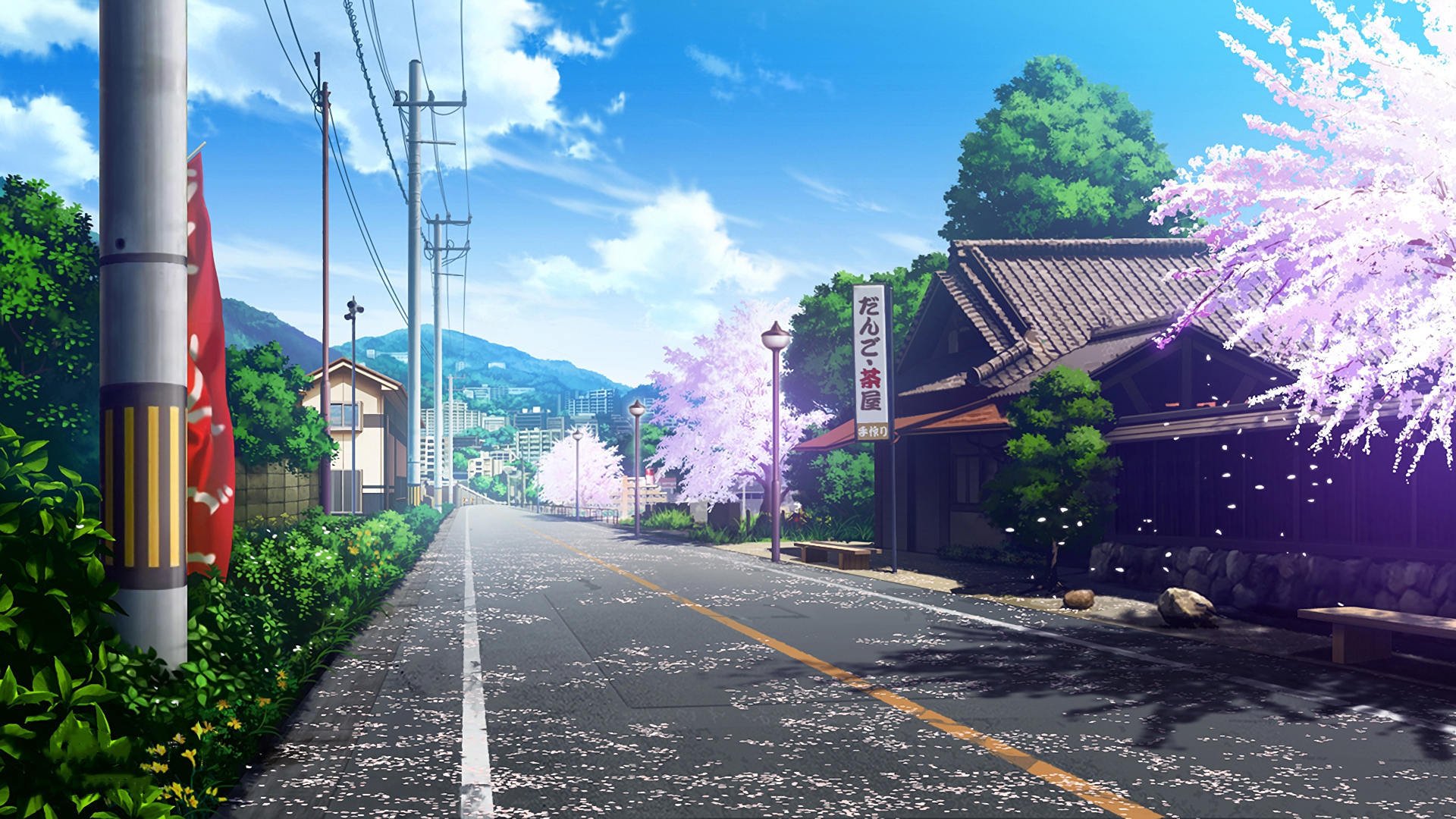 街道 樱花 公路