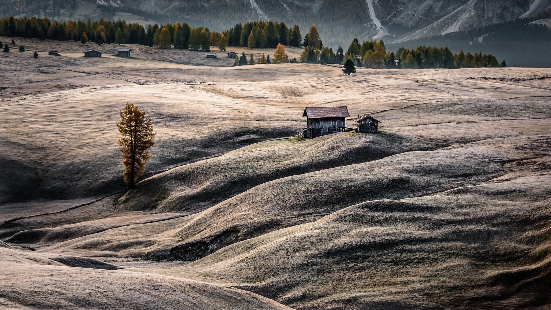 秋意正浓 原野 航拍