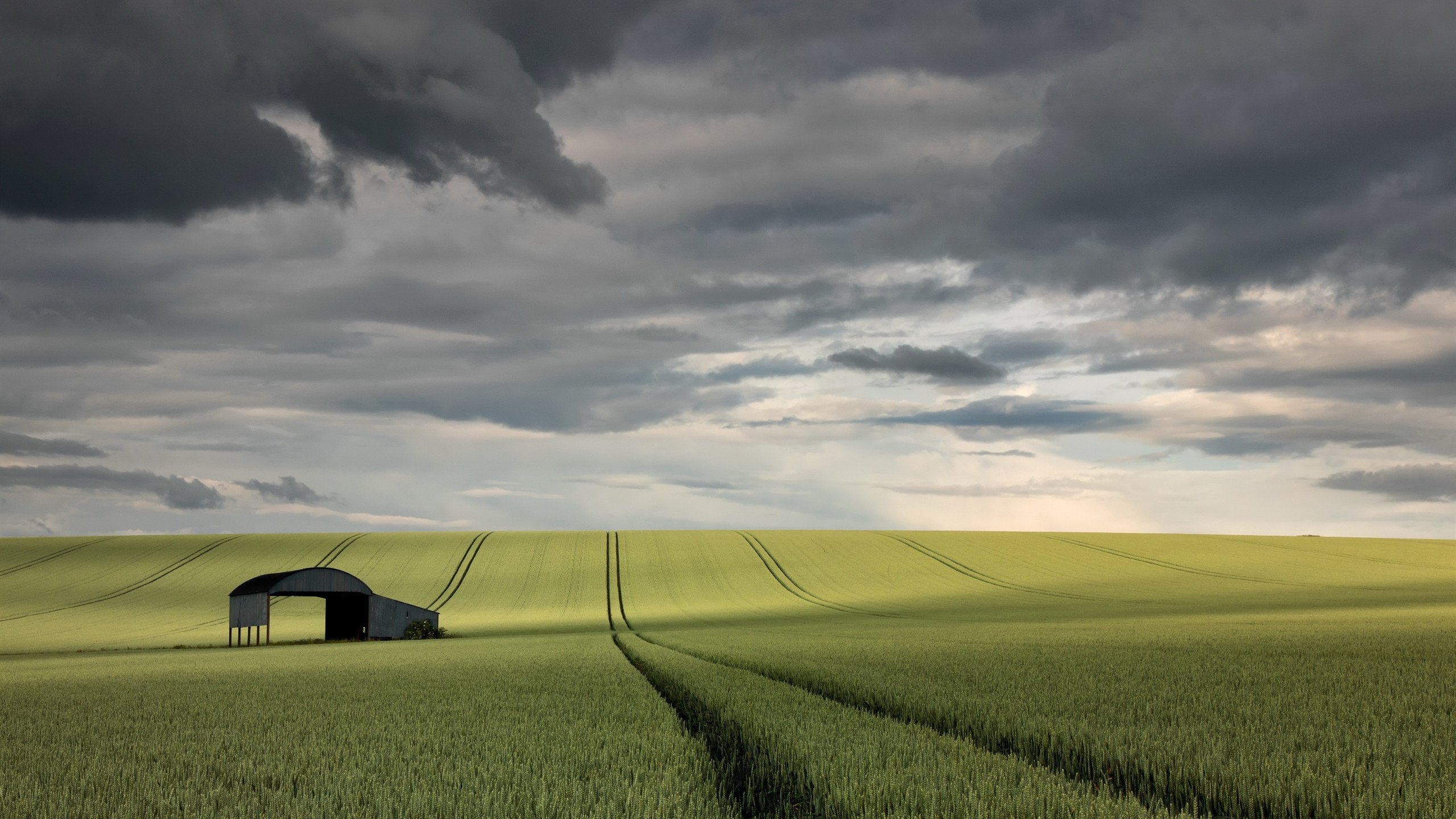 自然风光 草原 辽阔 天空
