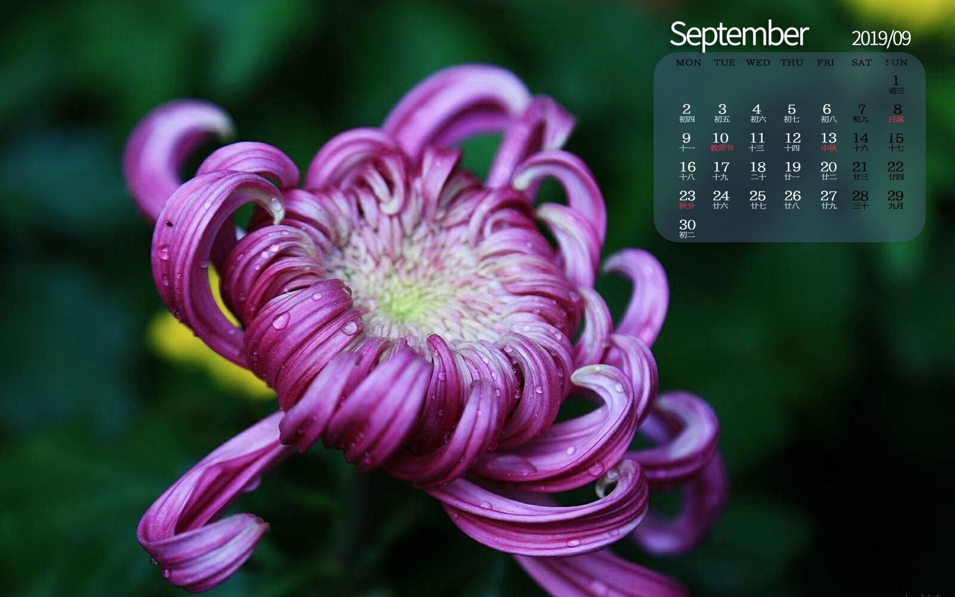月历壁纸 九月 2019年9月 日历