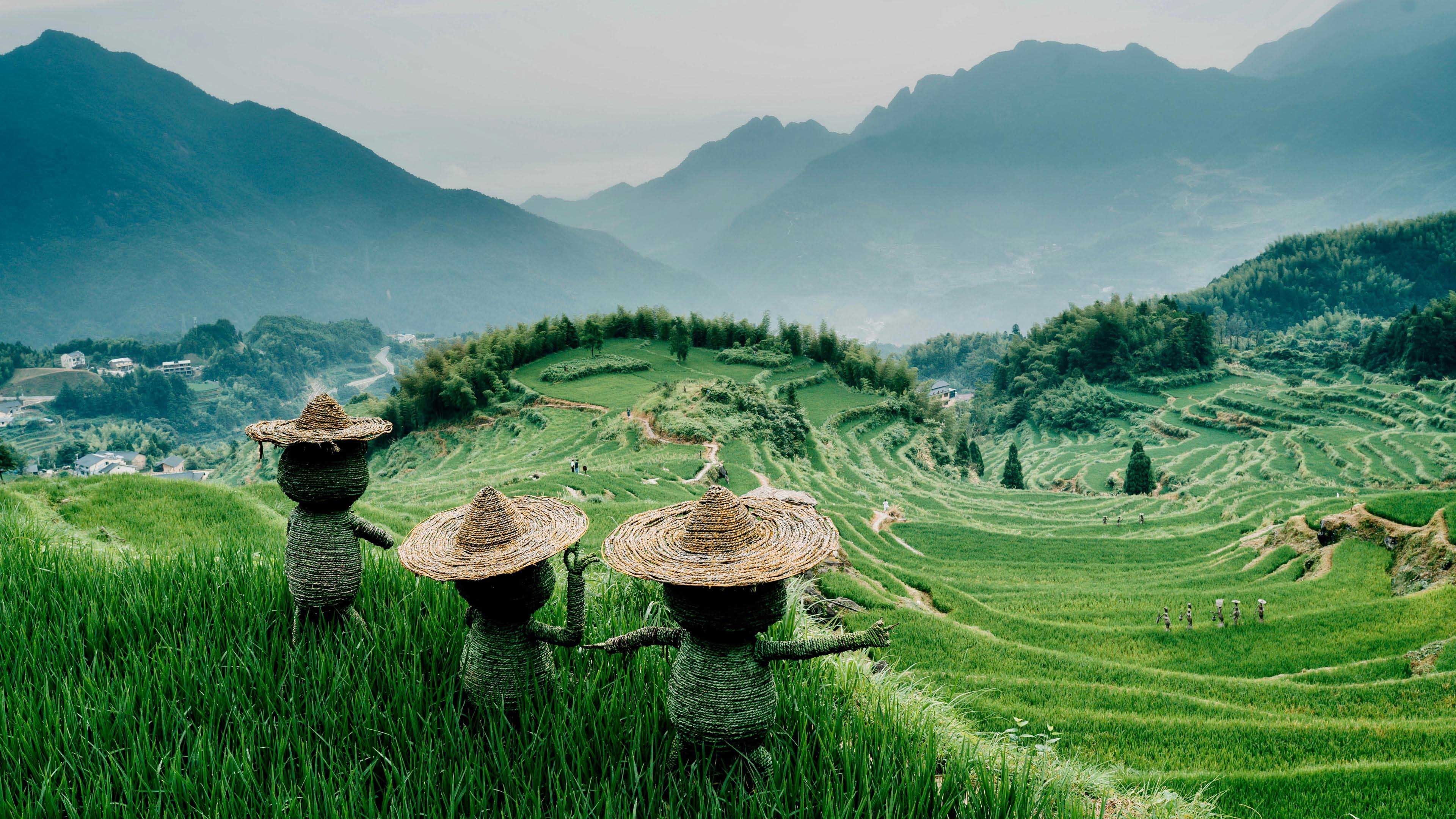 云和梯田  清新绿色