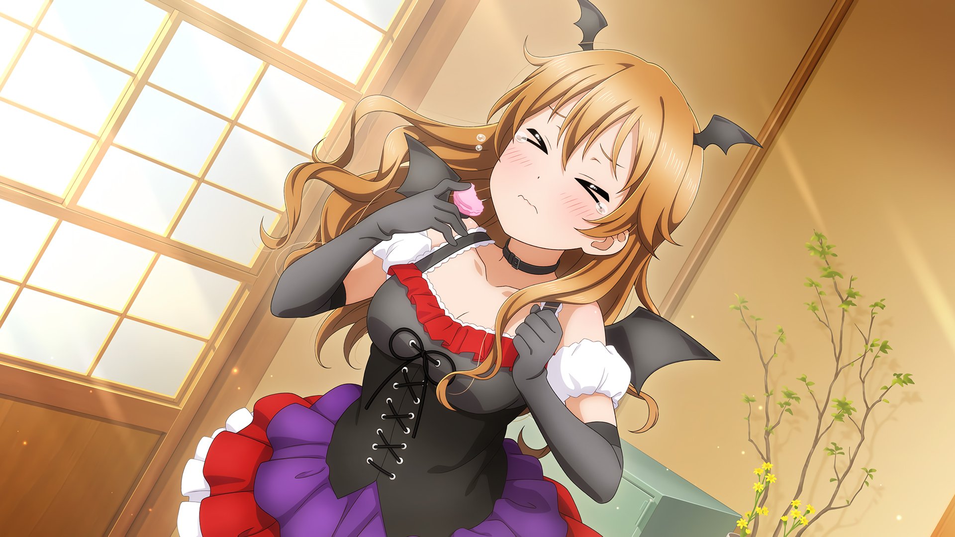 Love Live! 动漫美少女