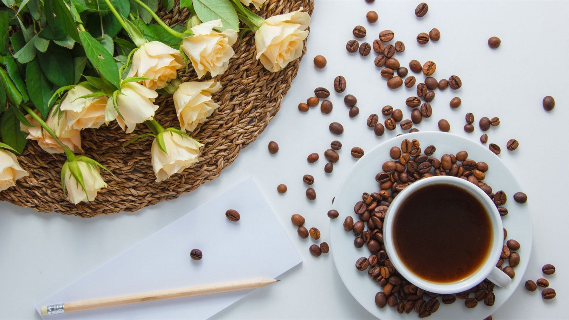 舒缓压力 可可 鲜花