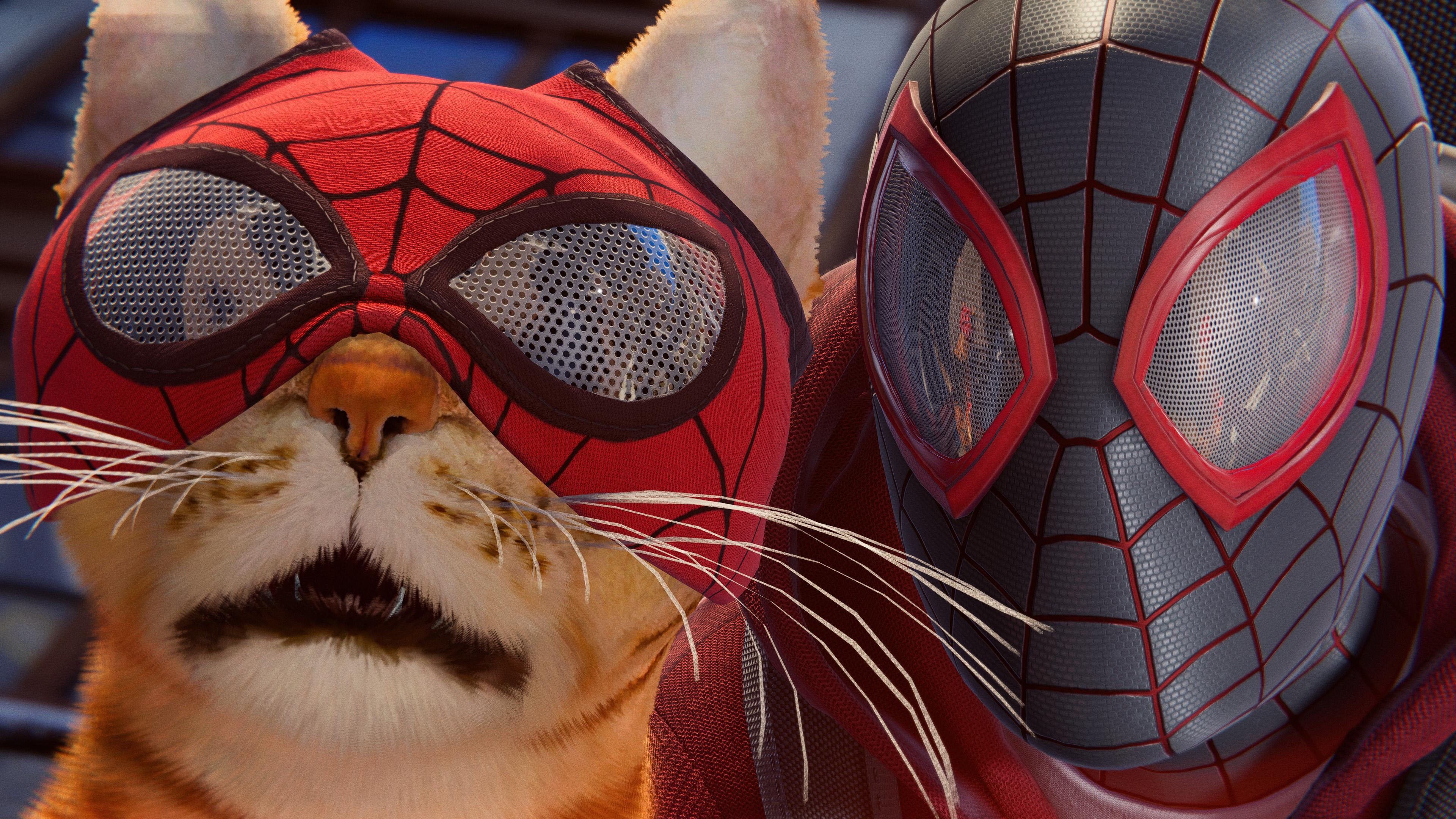 主机游戏 蜘蛛侠 猫咪