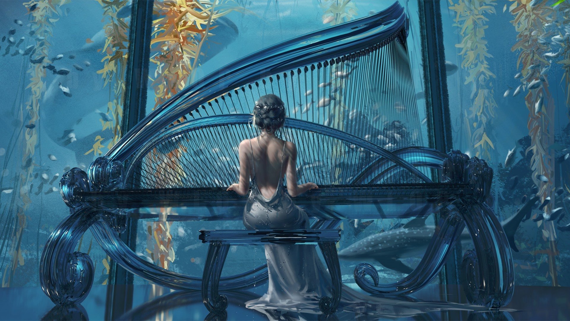 鬼刀 钢琴 公主 背 水族馆