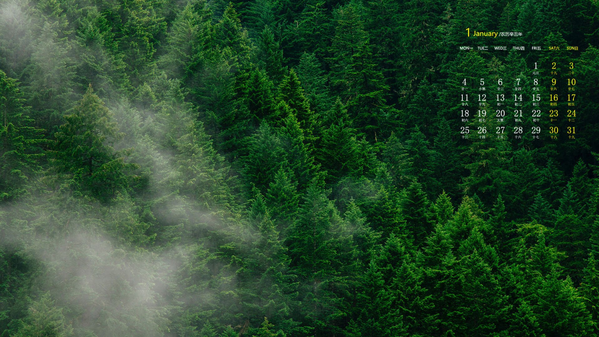 月历 日历 2021年1月