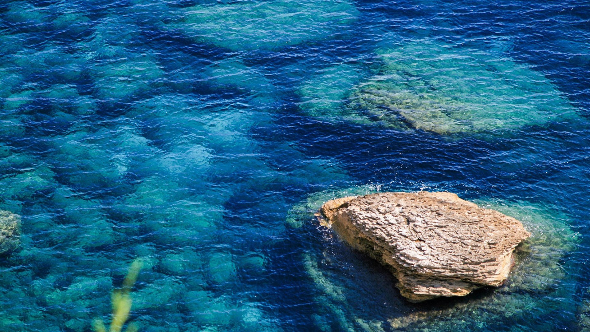海盐天堂 碧蓝 珊瑚