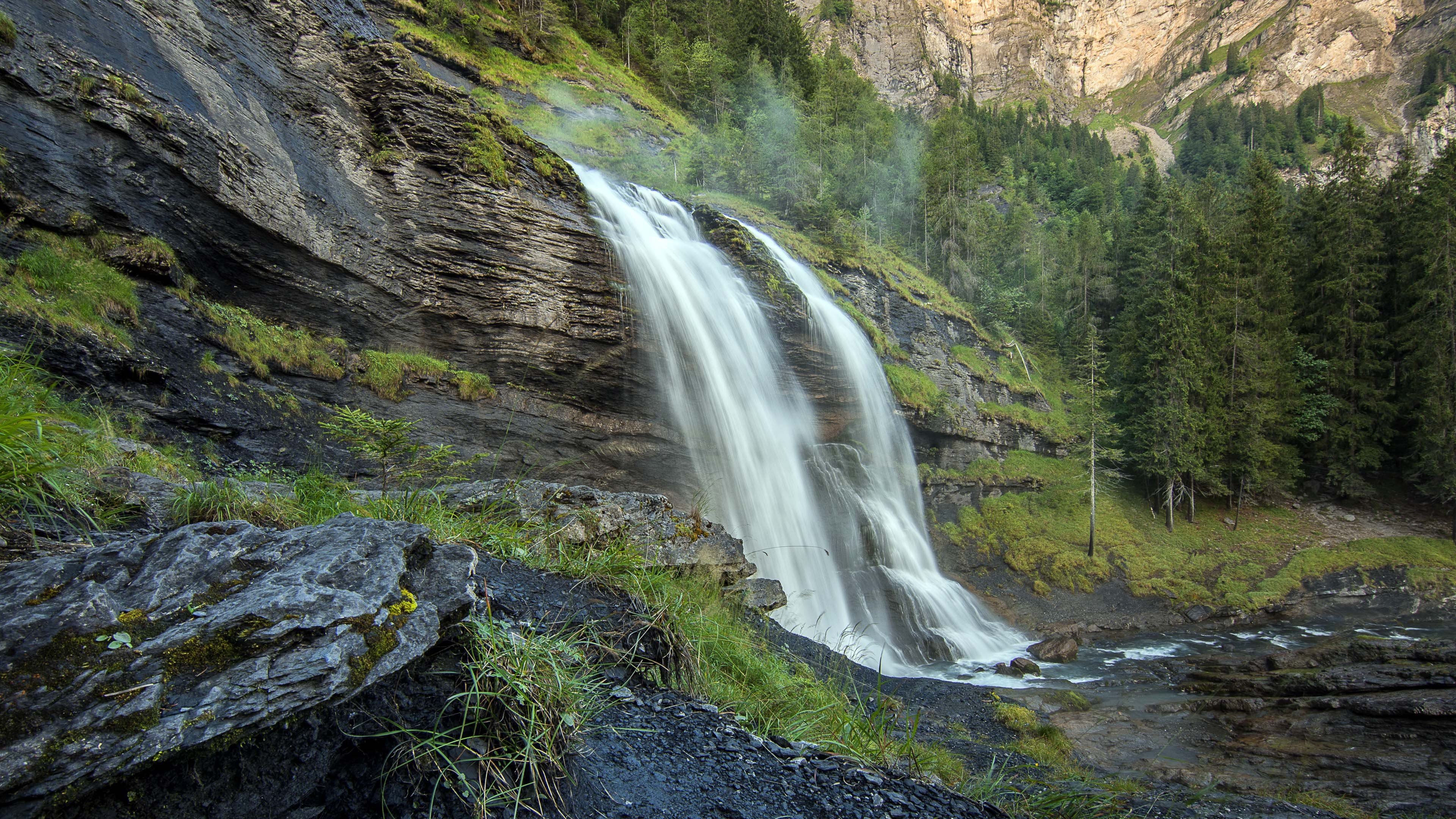 自然风光 瀑布 树林