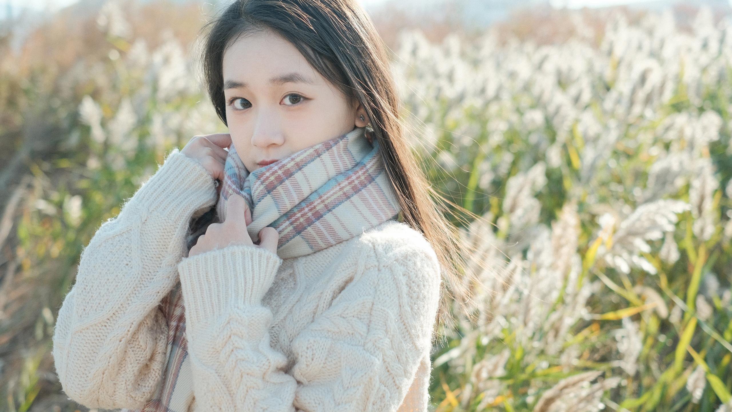 清纯 芦苇丛 围巾 毛衣 温暖