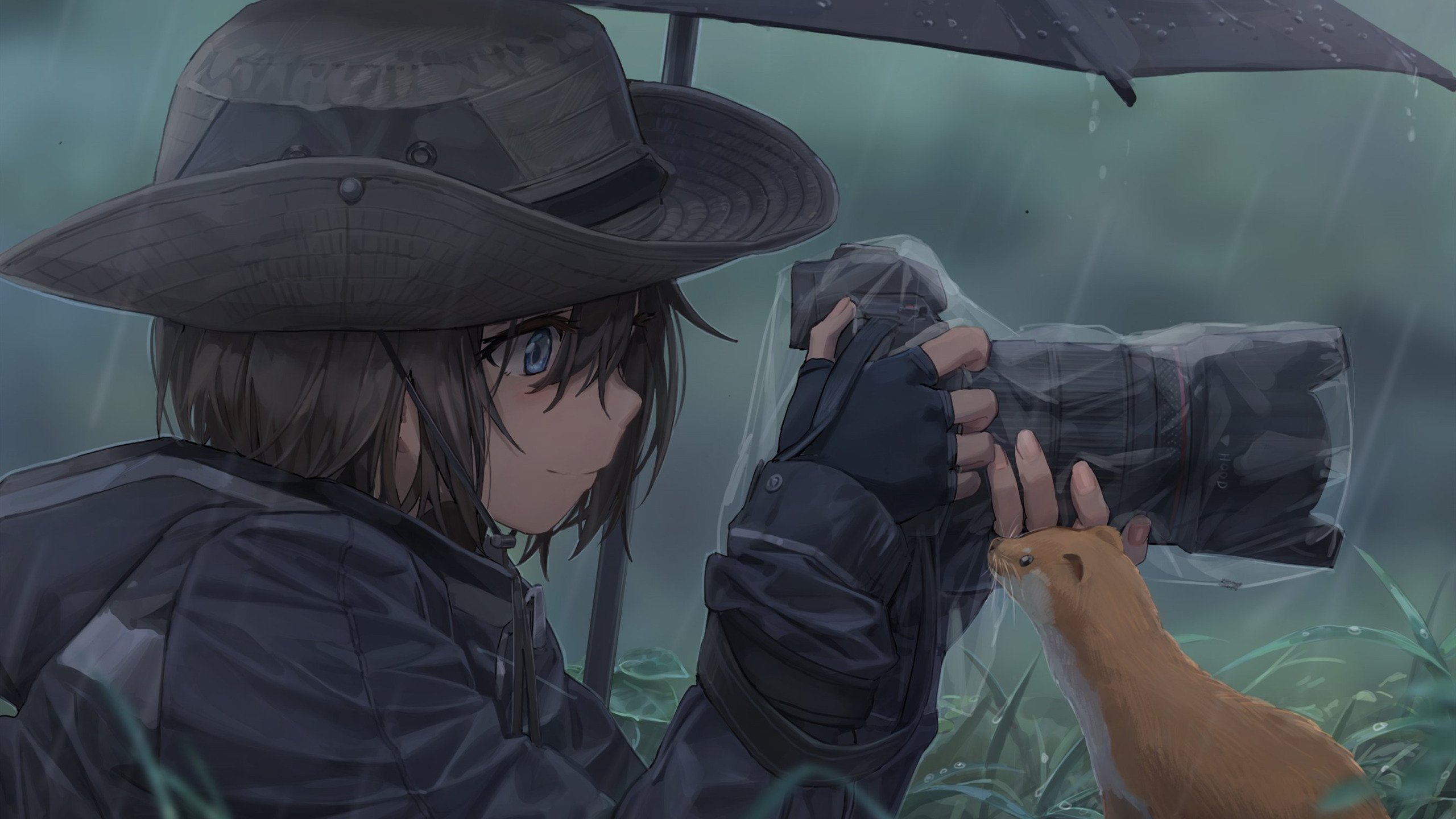 卡通人物 照相 雨中 拍摄 松鼠