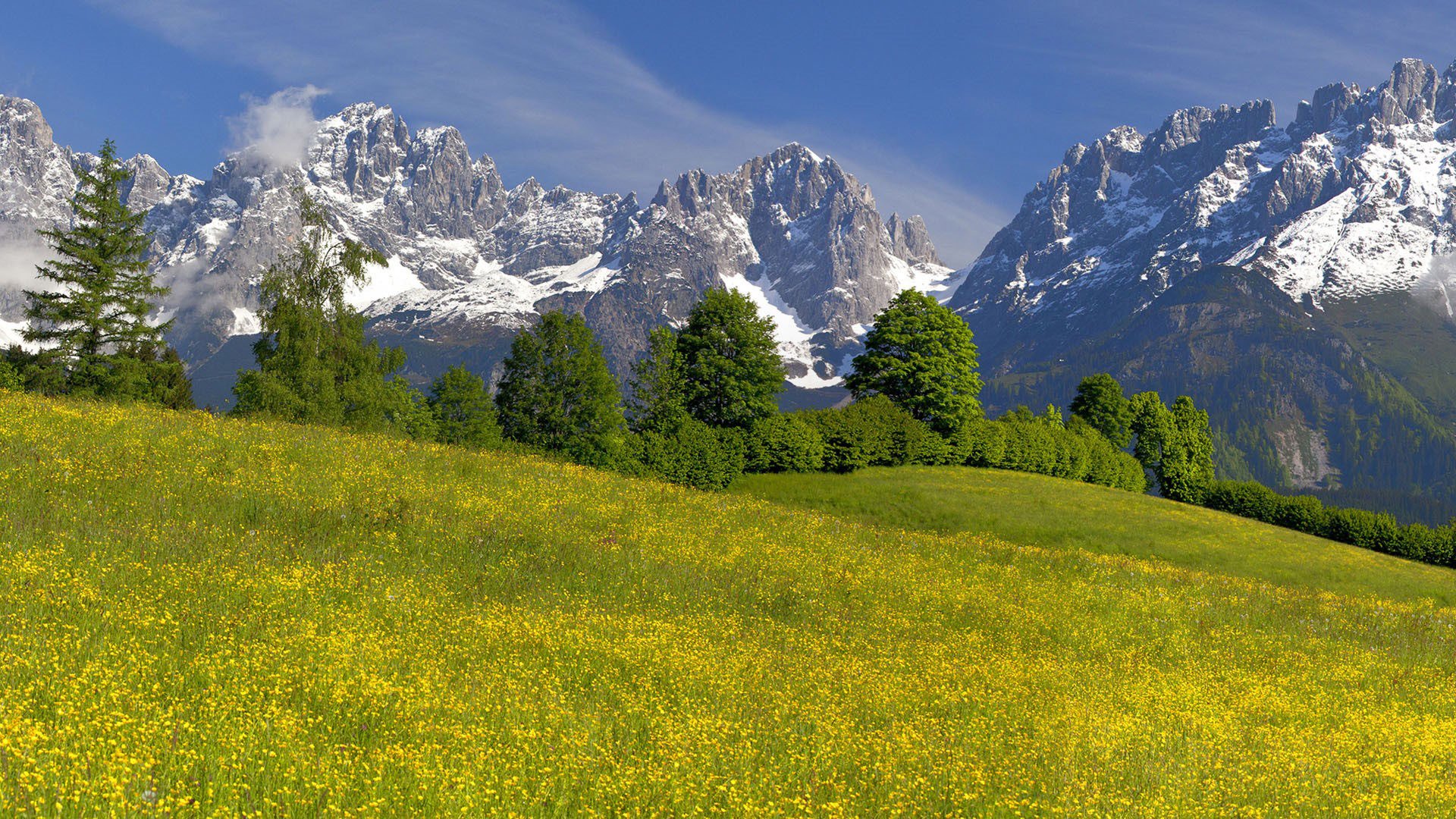 雪山 草地 山坡 树林 天空 秋天