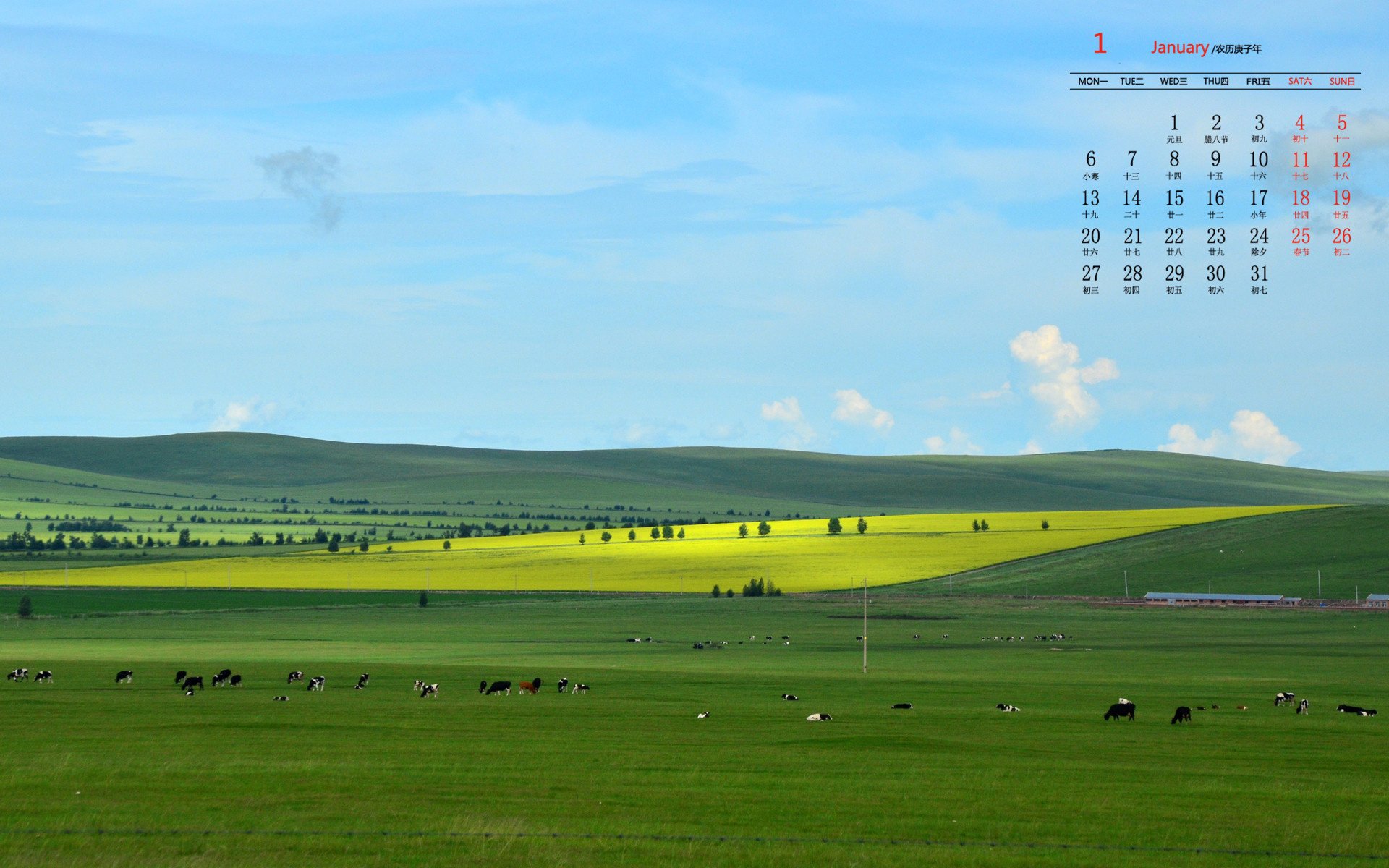 月历 日历 2020年1月