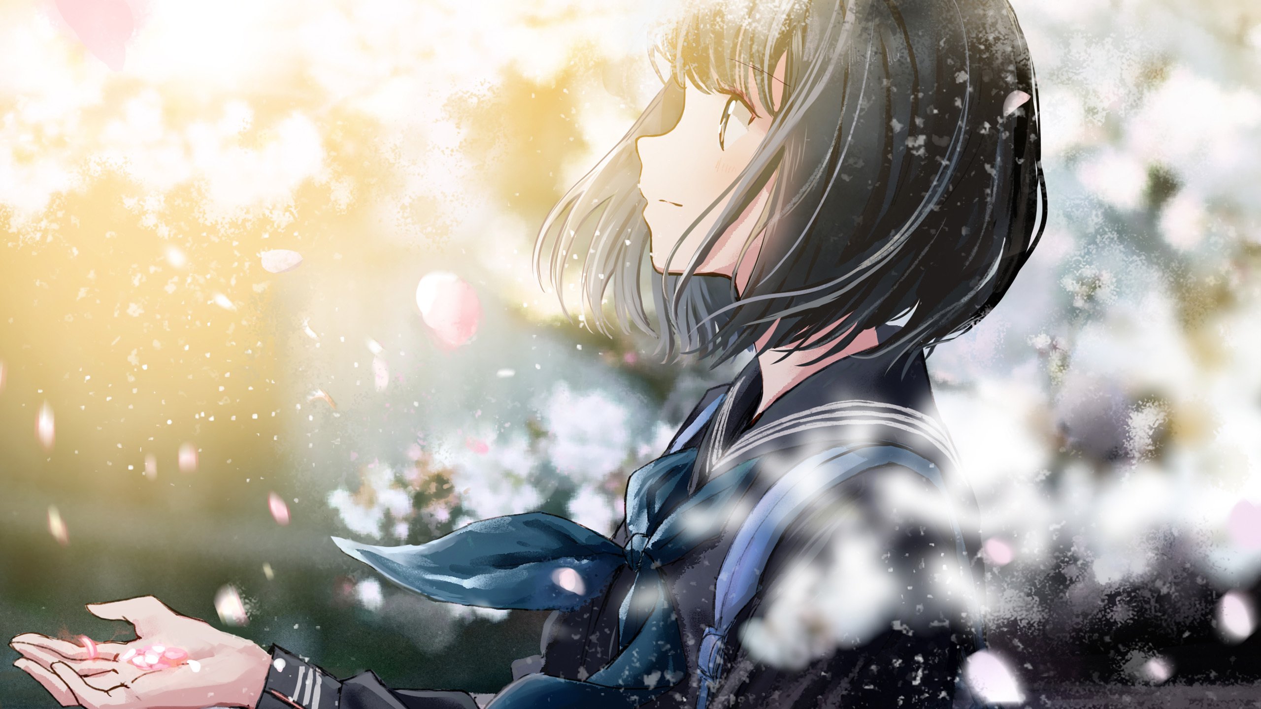 樱花 纷飞 短发 学妹 花瓣