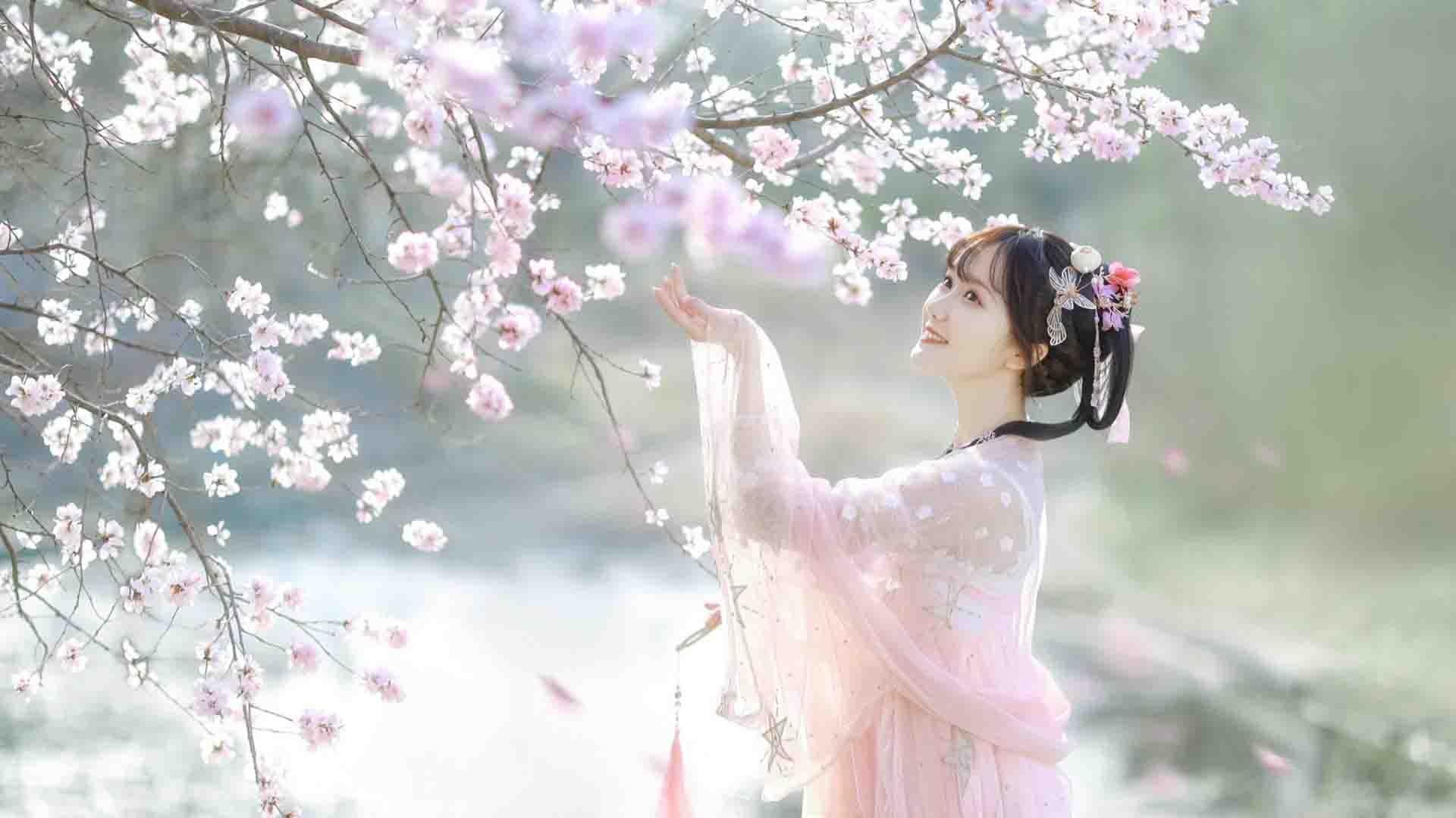 古风文艺 樱花 仙女 古装