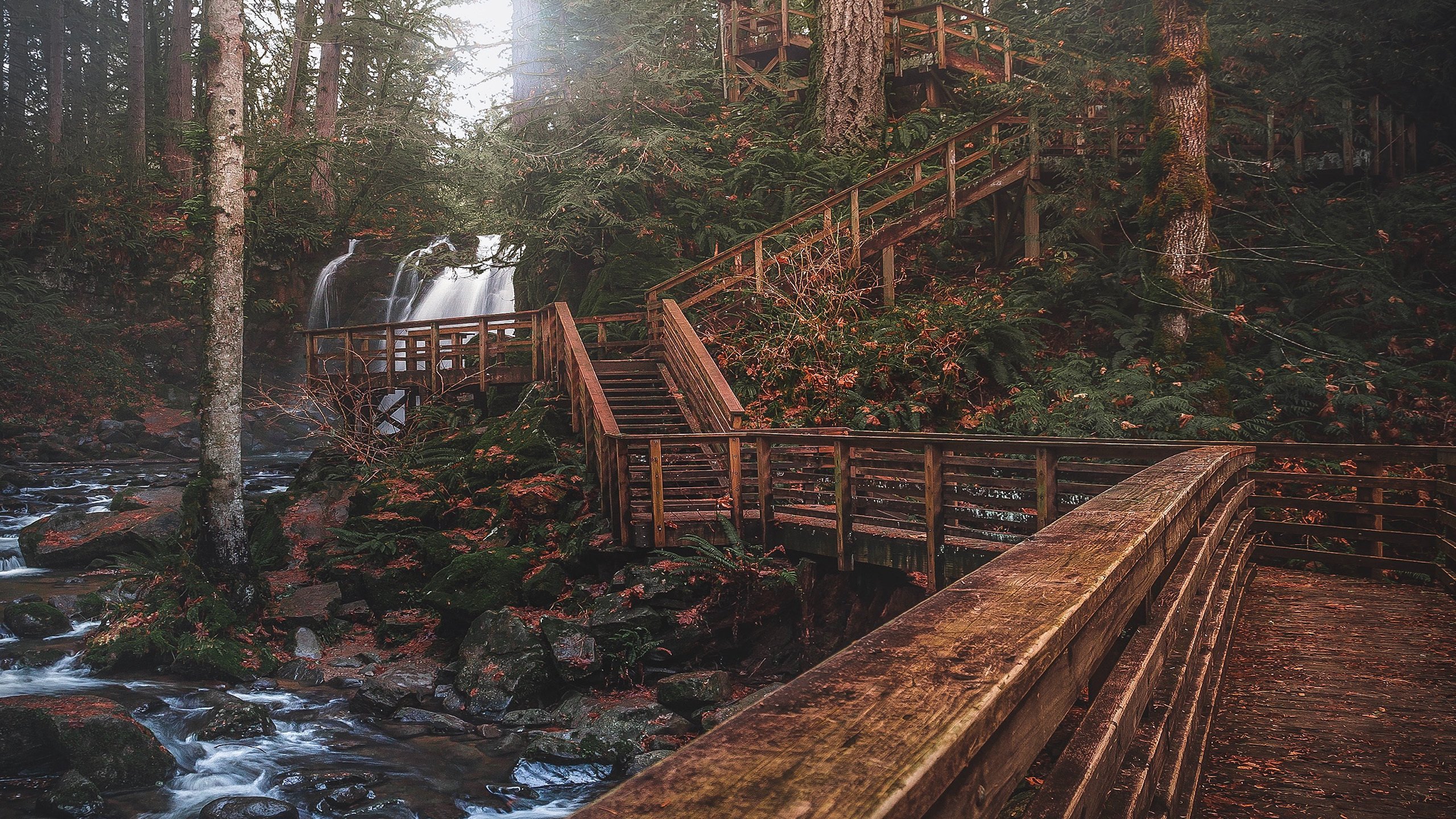 秋意正浓 亭台 瀑布 树林 溪水