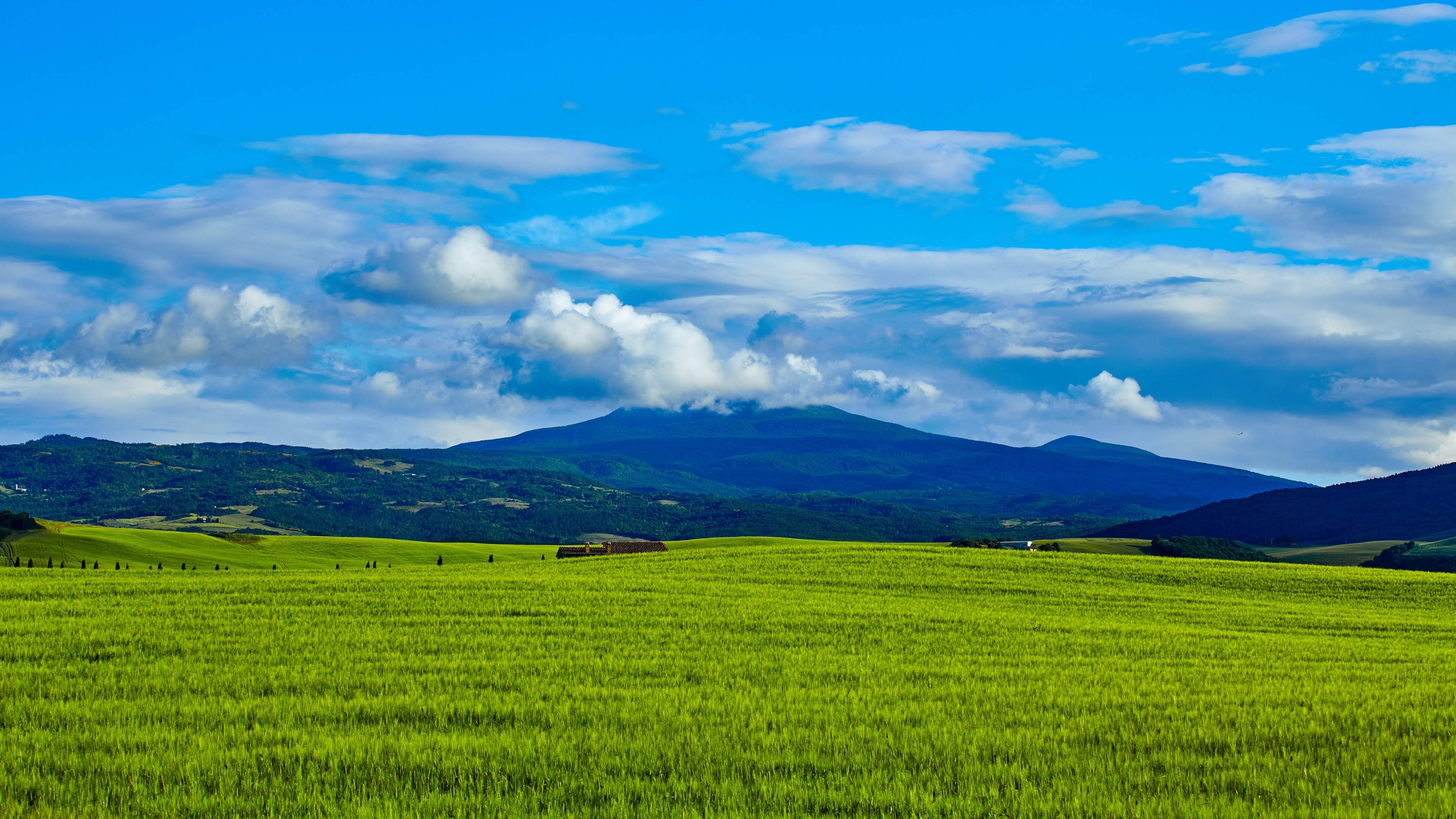 春意盎然 草原 蓝天 云朵 护眼