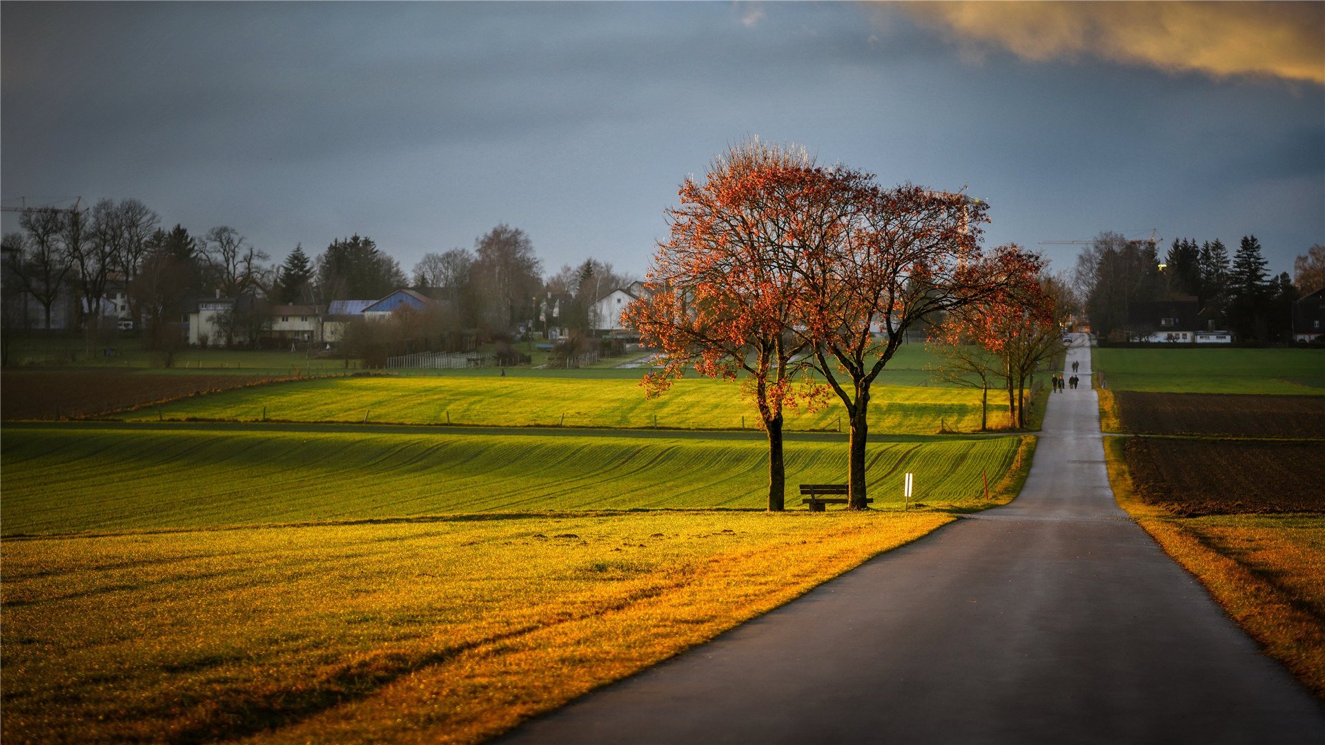 秋意正浓 公路 村庄 平原 草坪