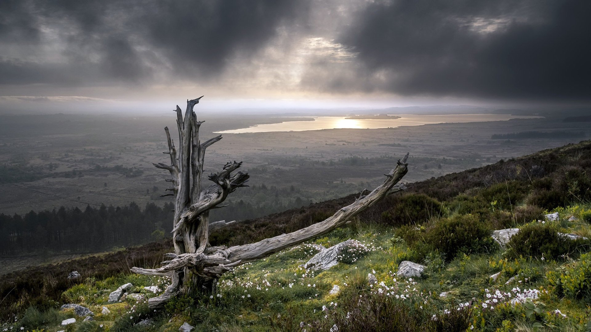自然风光 乌云 海岸 草地