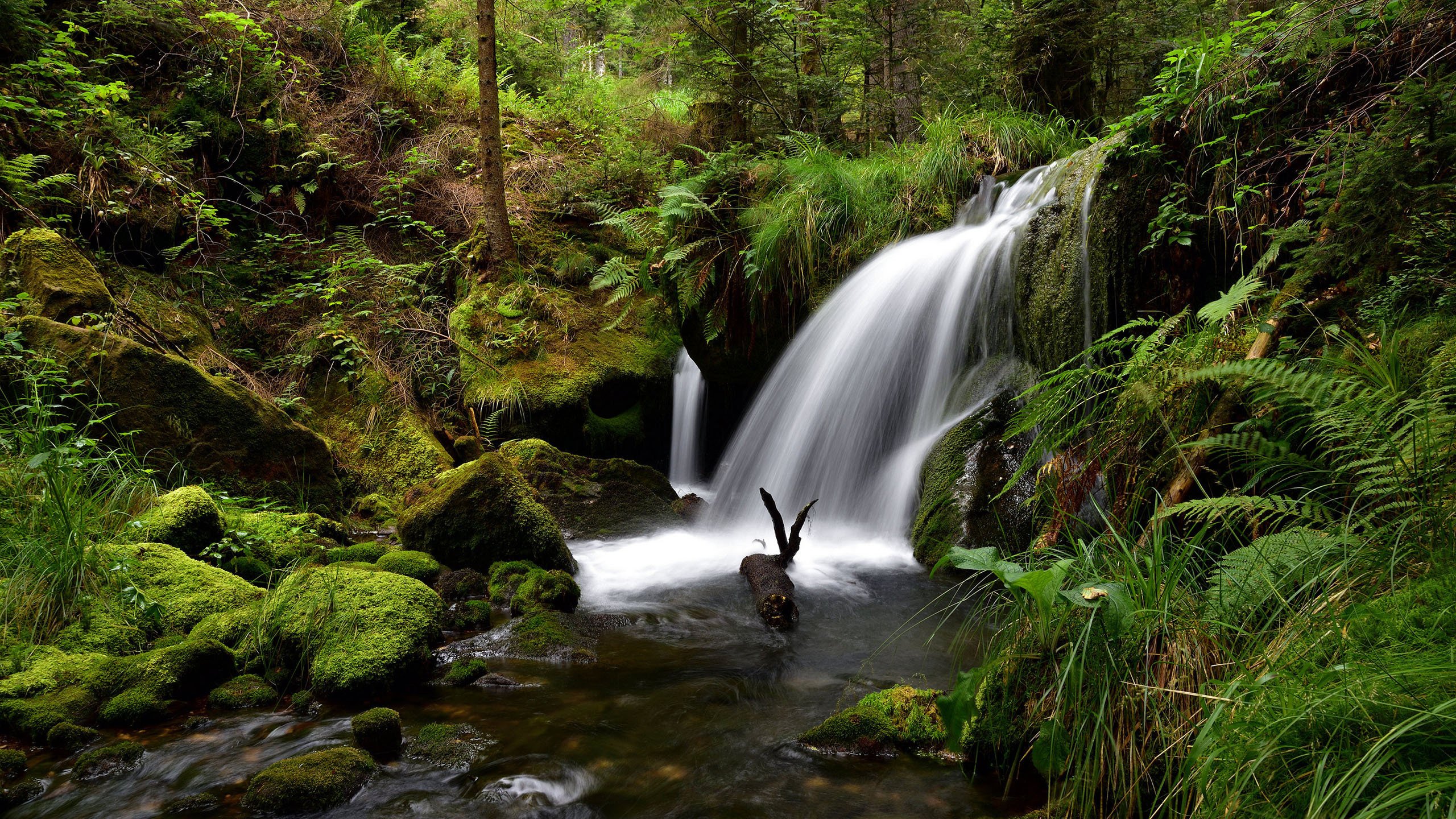 自然风光 瀑布 青山绿水 森林