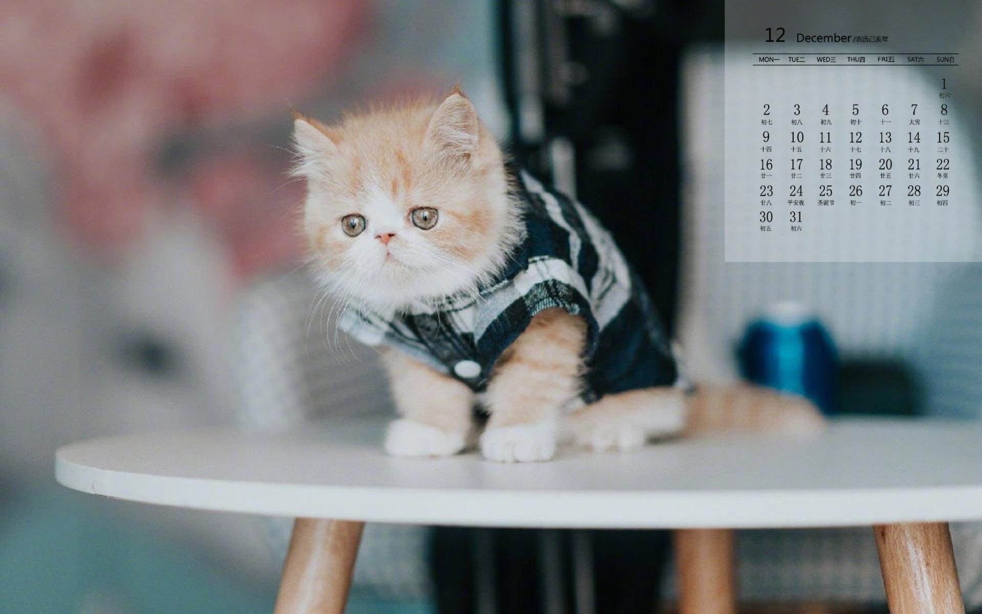 月历 2019年12月 日历